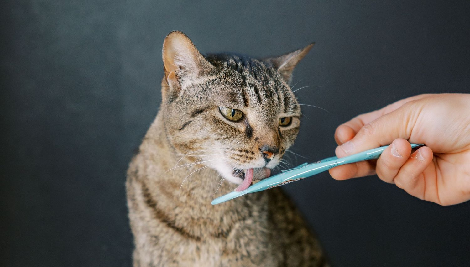 Six sequential photos show a tabby cat being given medicine with a syringe while looking increasingly displeased.