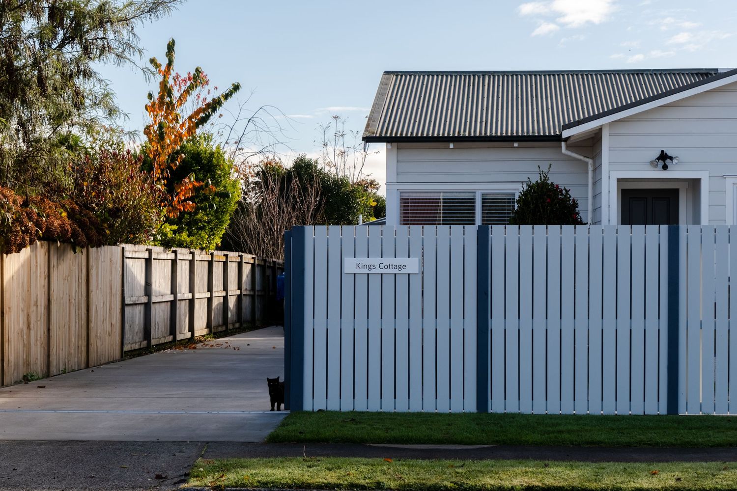 tauranga-photographer-jaydin-captures.jpg