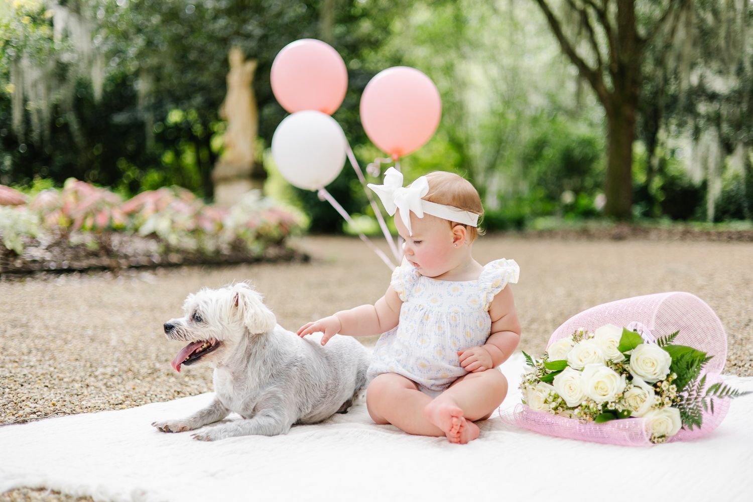 Baby girl in white romper sits with white dog beside balloons and flowers on blanket outdoors.