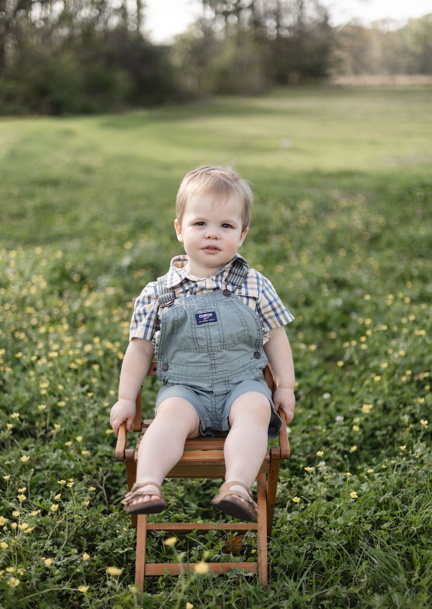A cute toddler boy in denim overalls sits on a wooden chair in a field of yellow flowers.