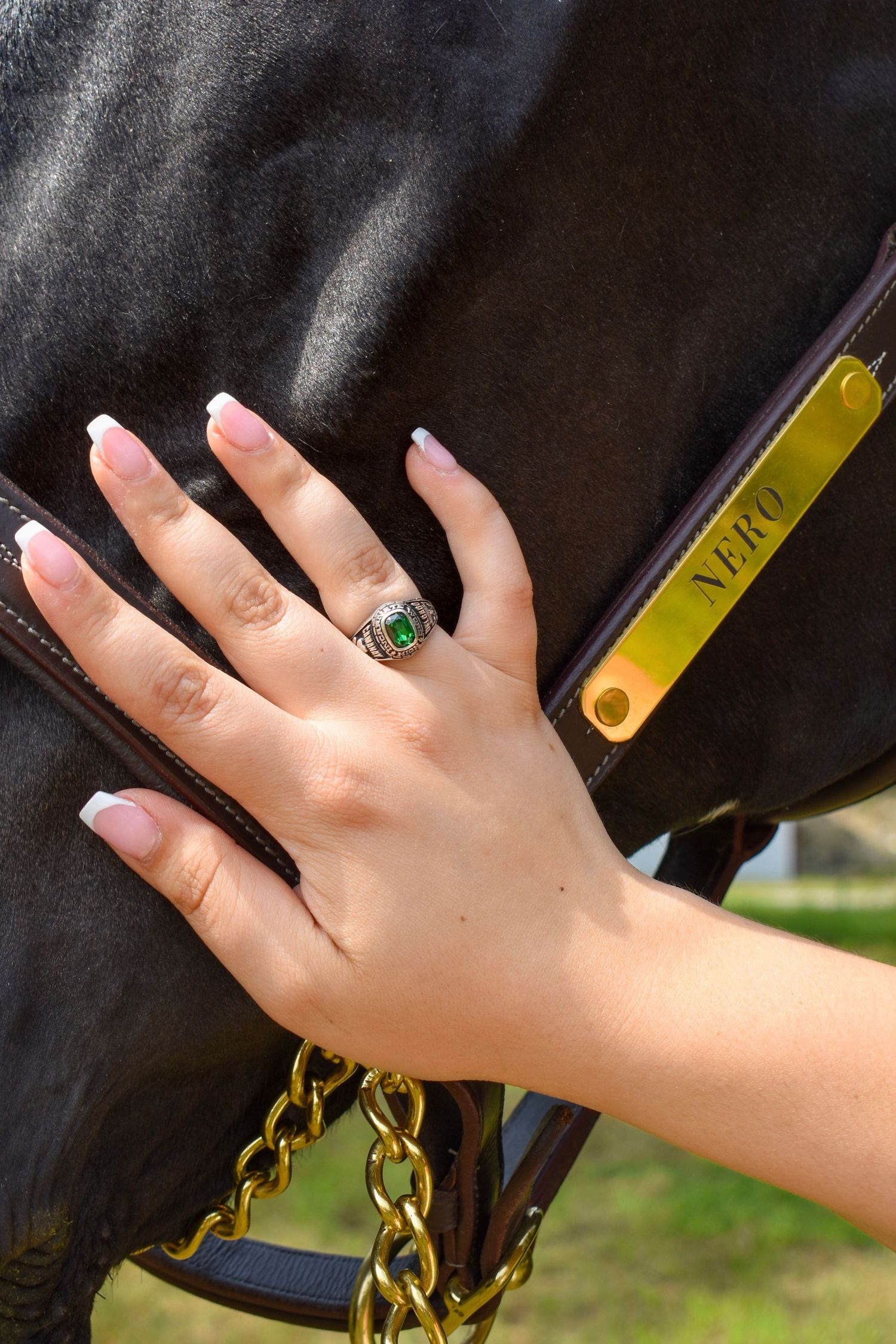 Close-up of high school class ring with horse and bridle in San Antonio