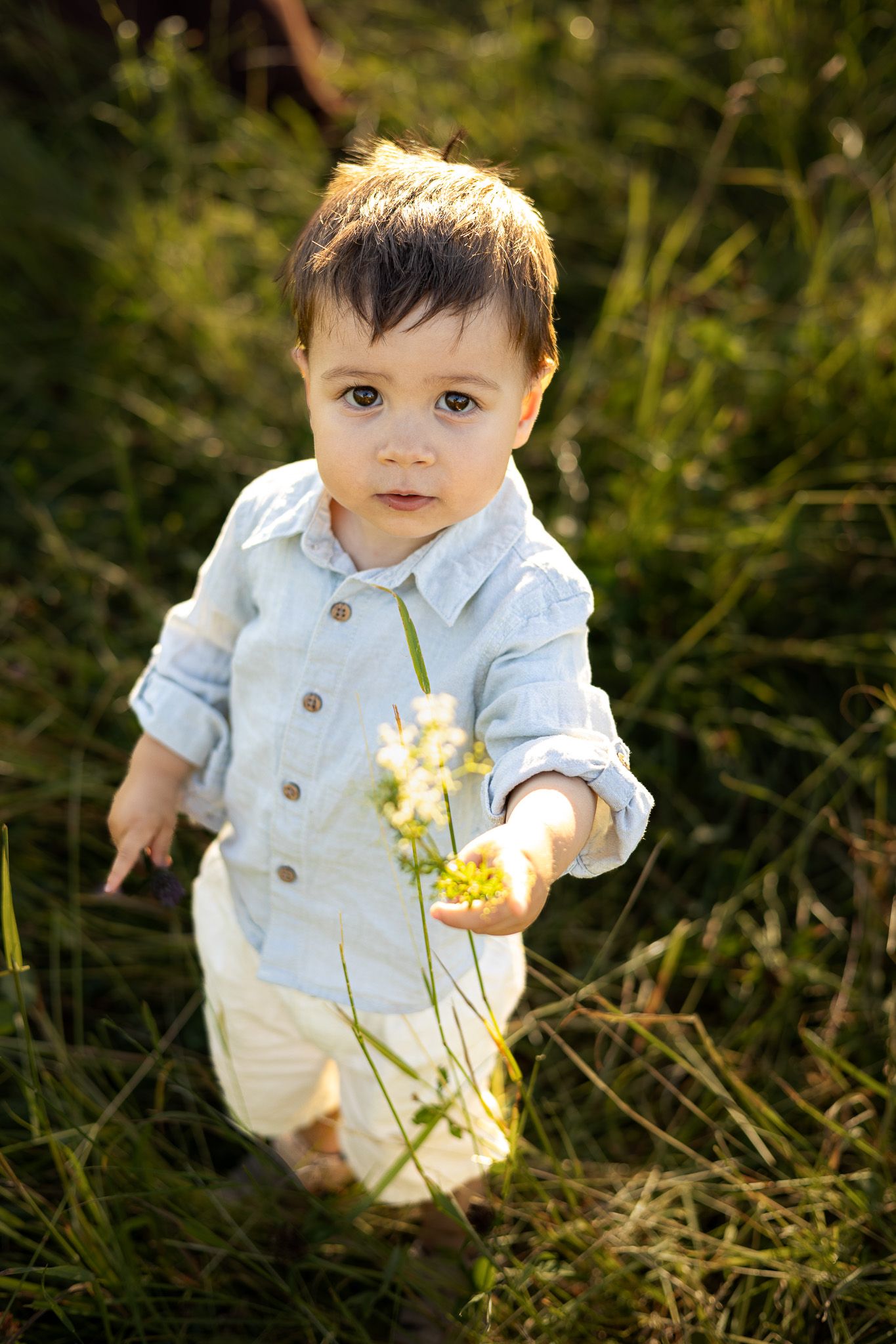 Adorable toddler boy in blue shirt holding yellow wildflowers while standing in lush green grass outdoors.
