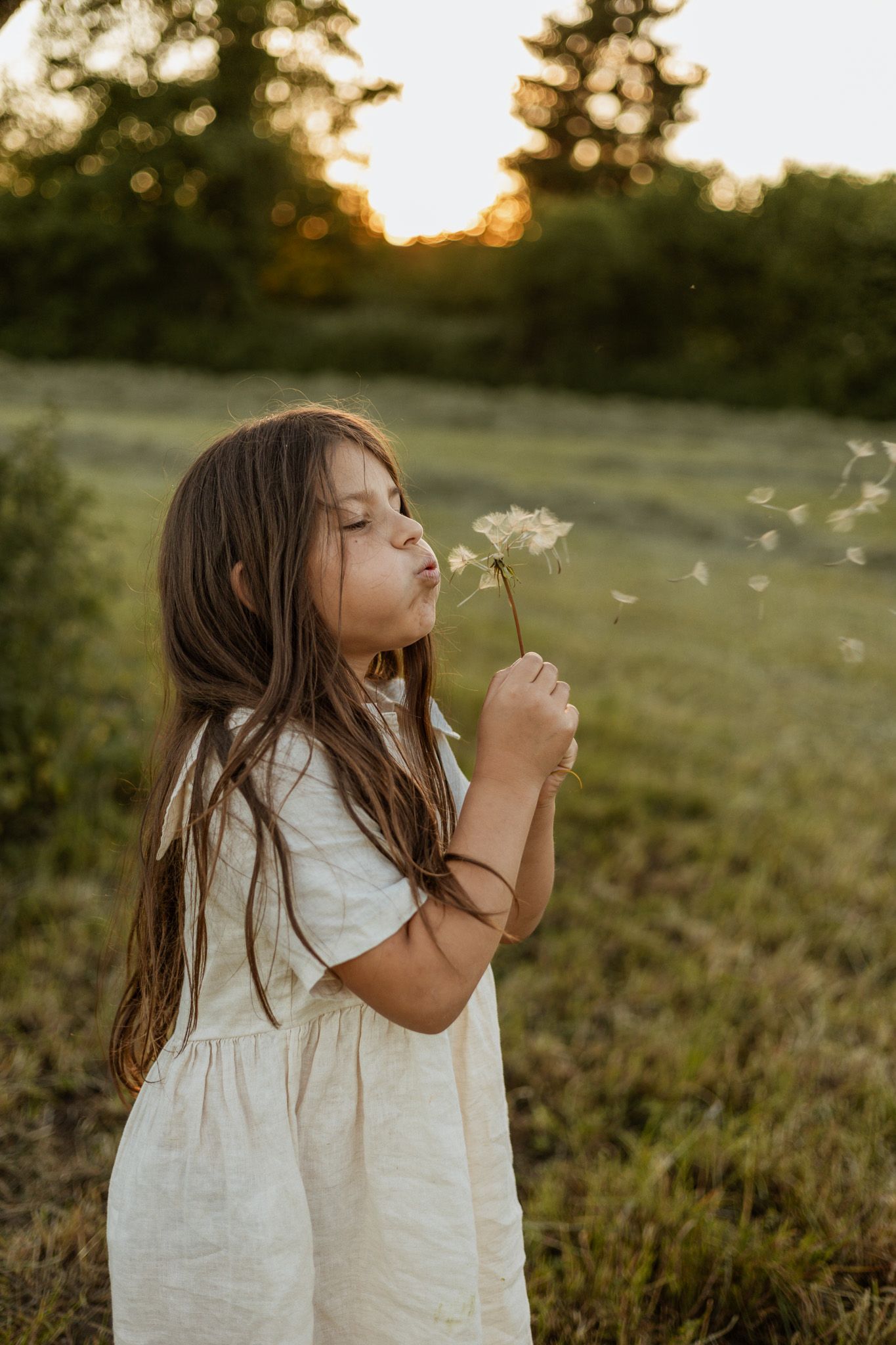 A young girl in a white dress blows a dandelion in a sunlit green field at golden hour.