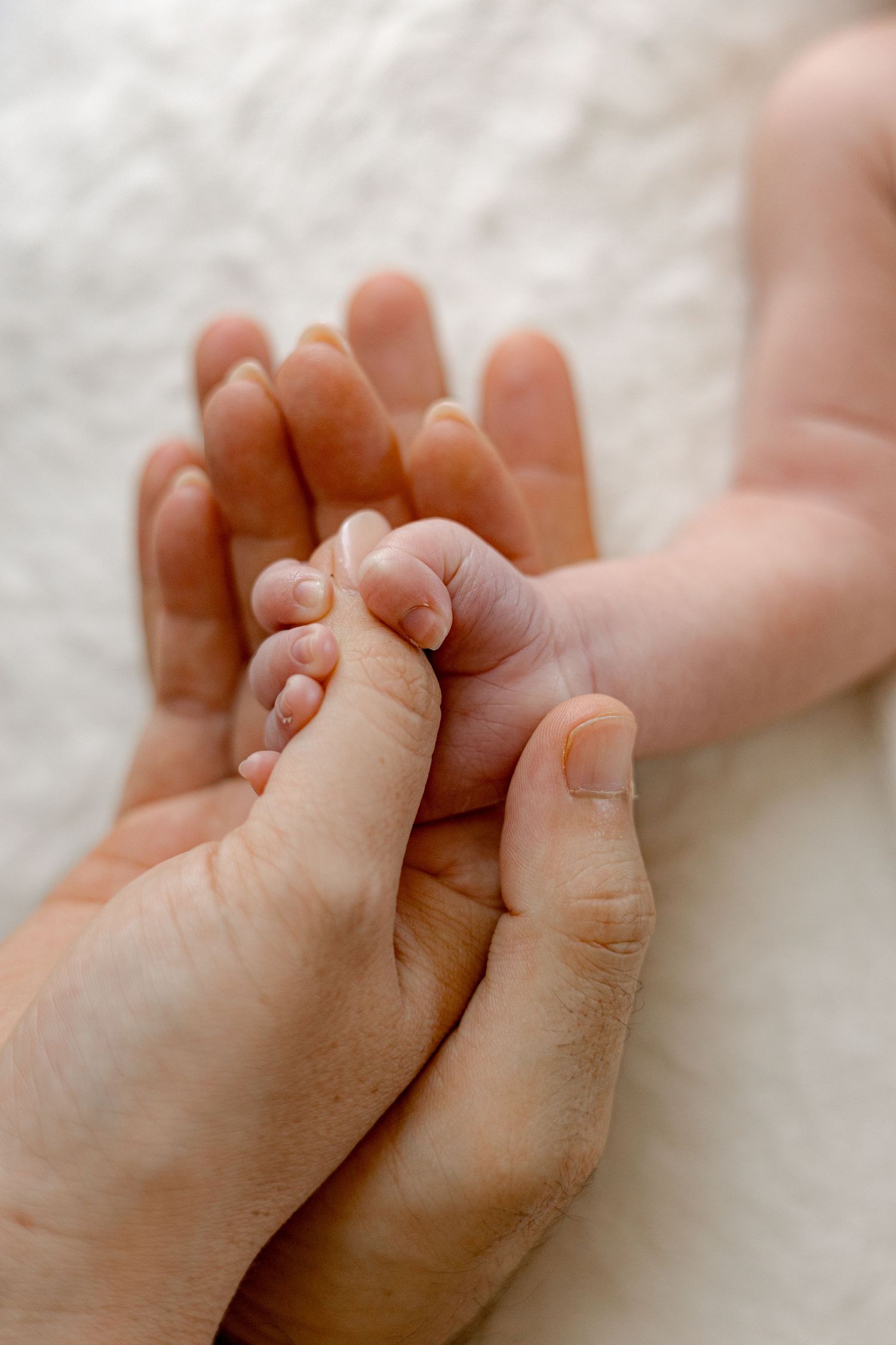 Close-up of a newborn baby's tiny hand gently gripping an adult's finger, symbolizing love and new life.