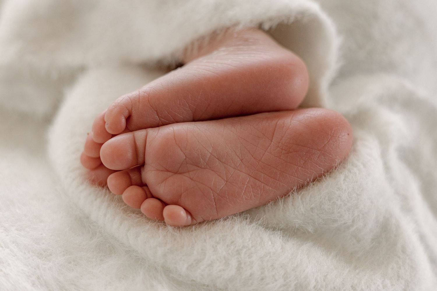 Close-up of soft, tiny newborn baby feet wrapped in a fluffy white blanket.