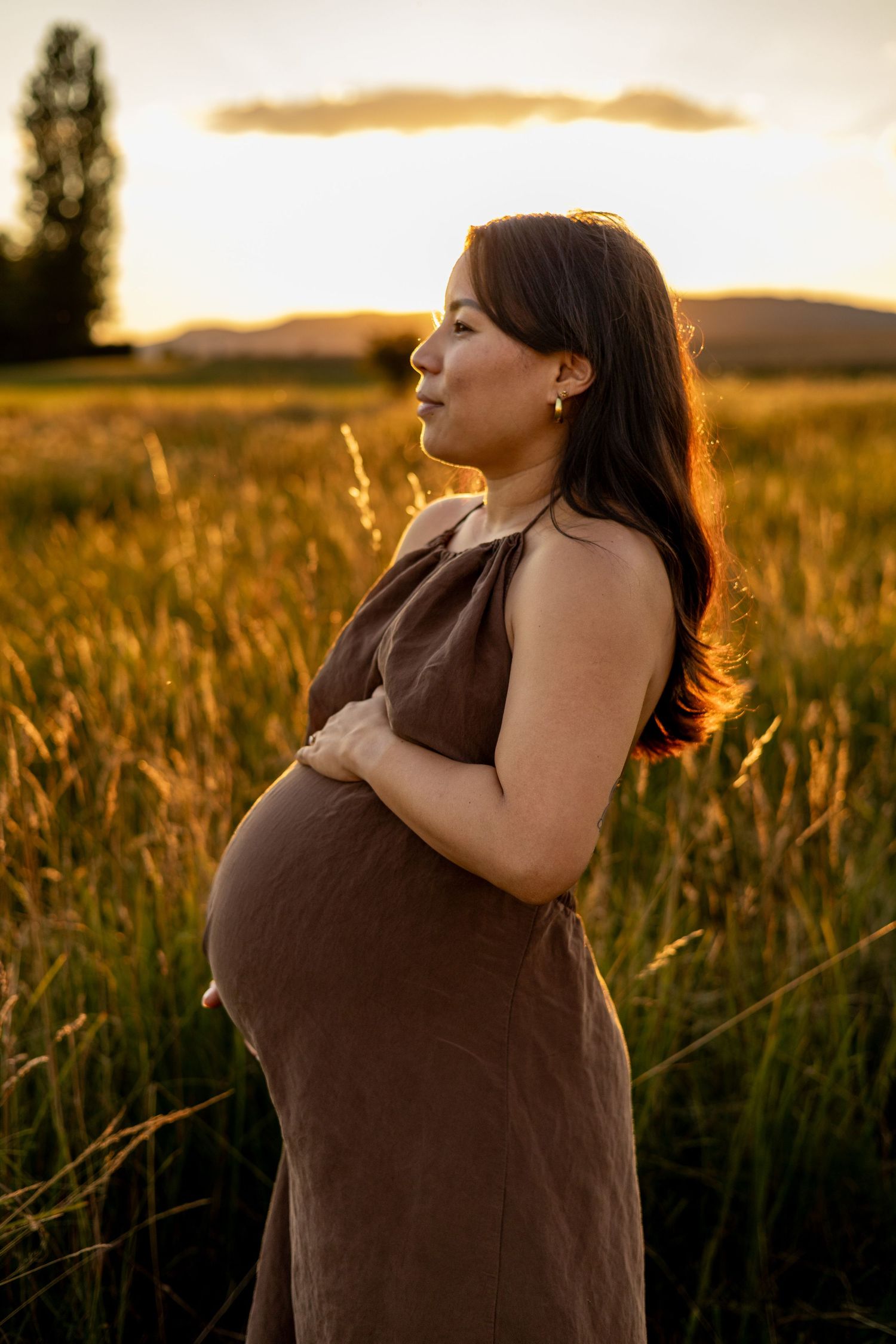 Pregnant woman in brown dress cradling baby bump in golden field at sunset, glowing backlit portrait.