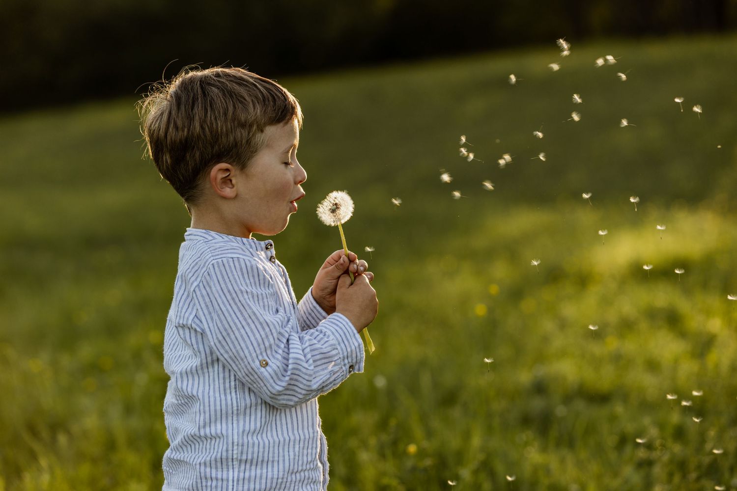 kinderfotografie-abendstimmung-zuerich