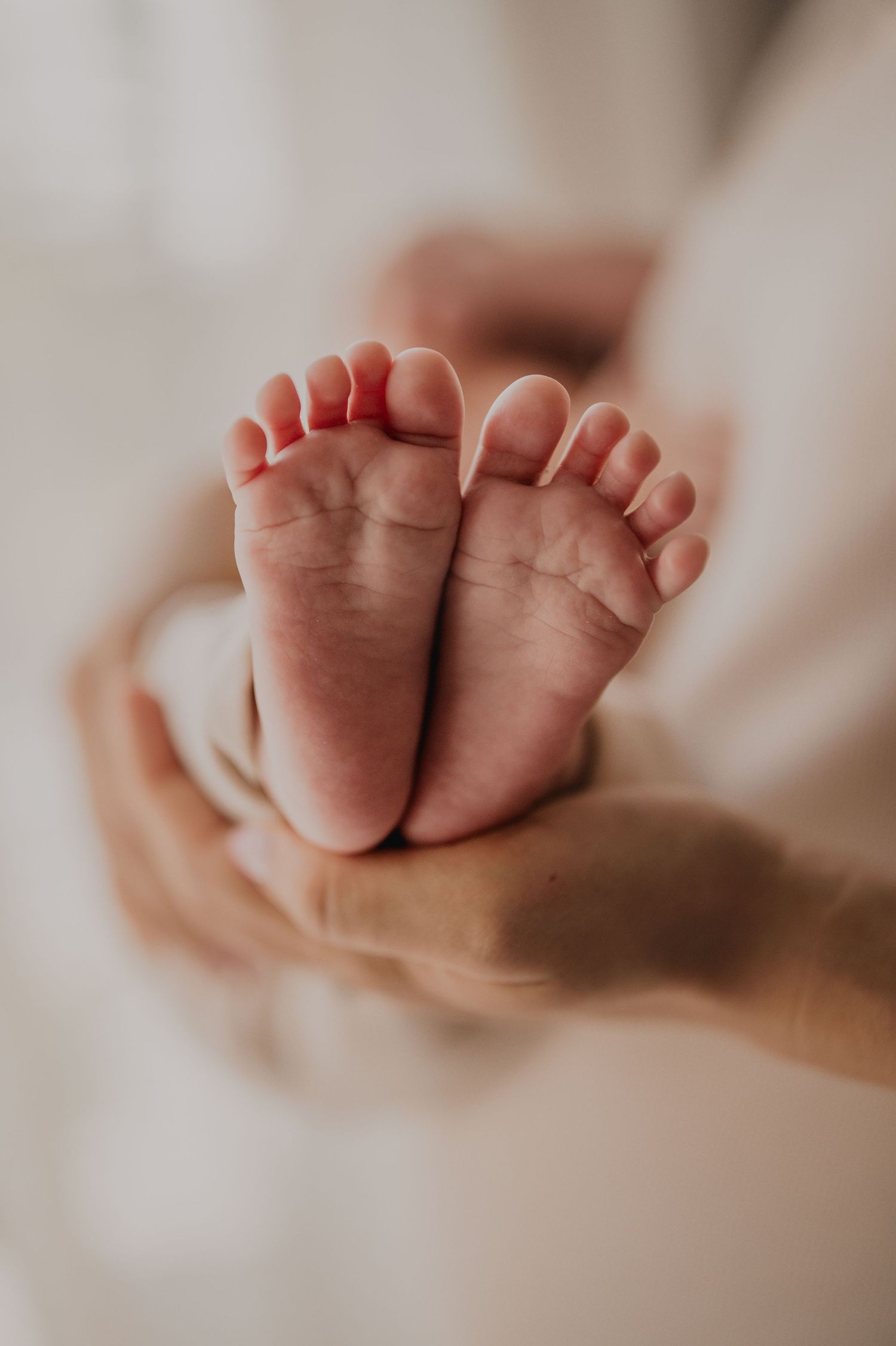 Close-up of tiny newborn baby feet cradled gently in adult hands.