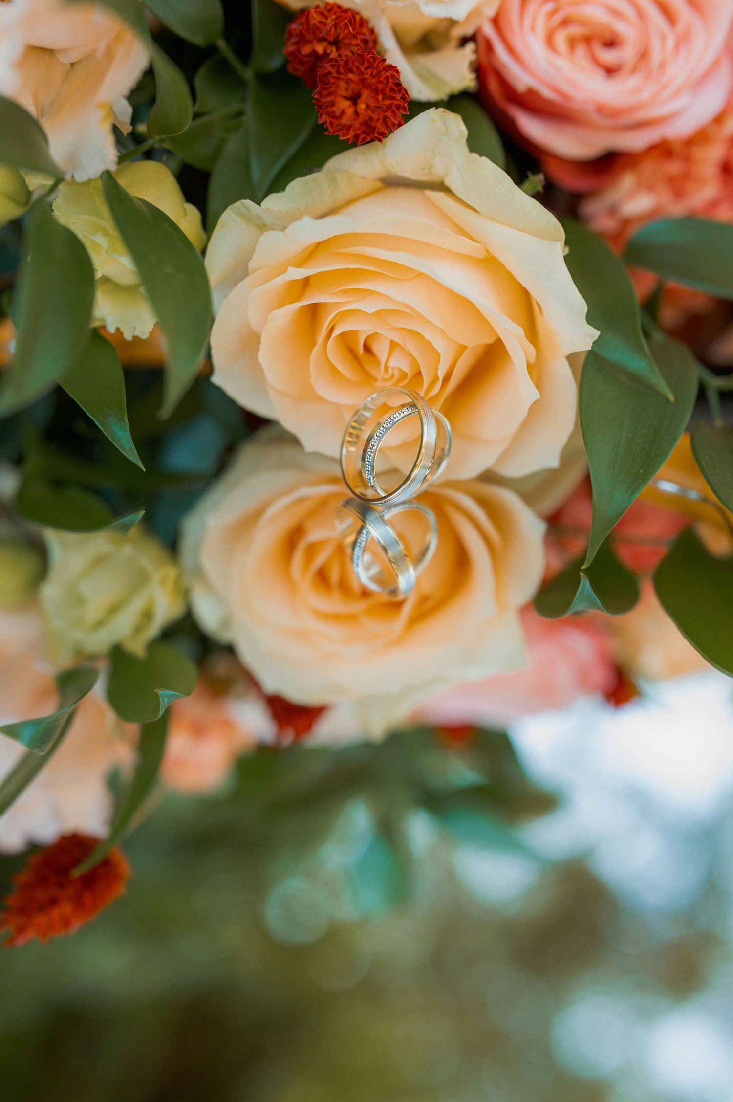 Two silver wedding bands nestled among peach roses and greenery in a romantic floral arrangement.