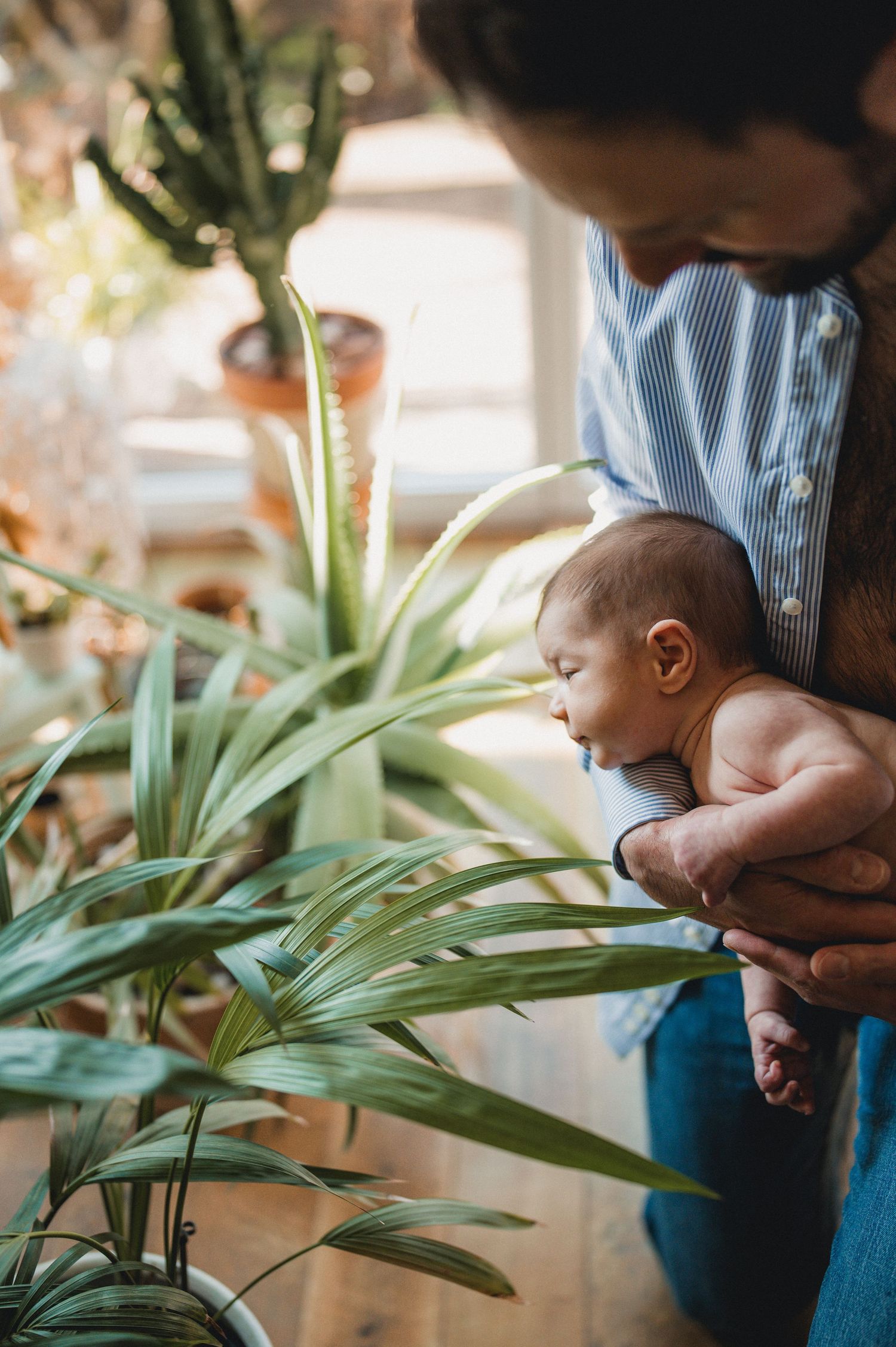 Father holding sleeping newborn baby near green houseplants by sunny window.