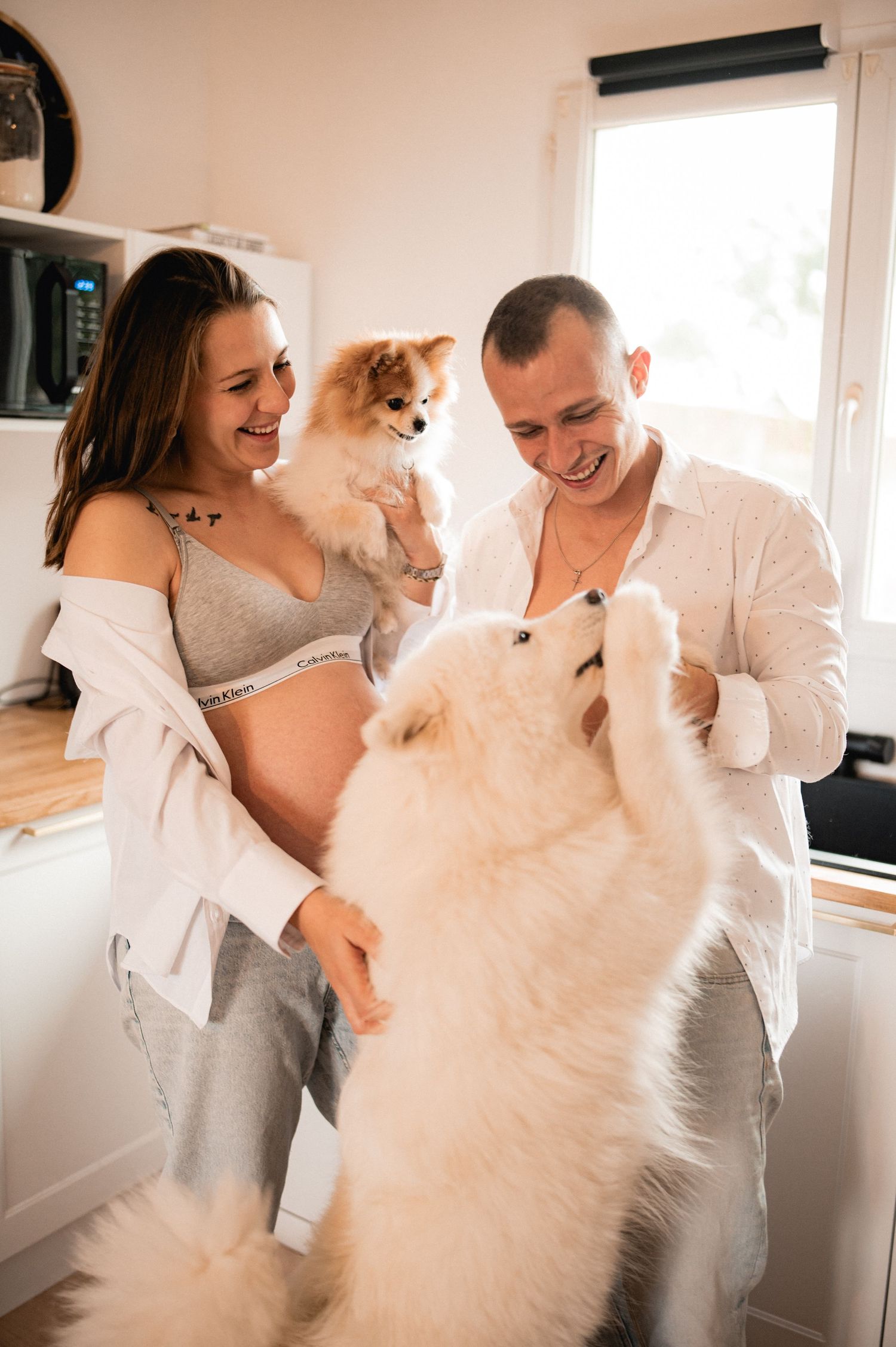Smiling pregnant couple playing with white Samoyed and Pomeranian dogs in bright modern kitchen.