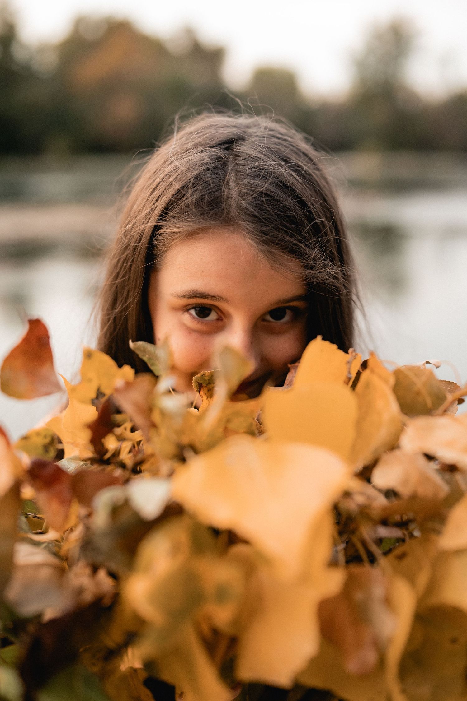 Young girl peering over bouquet of golden autumn leaves near riverside.