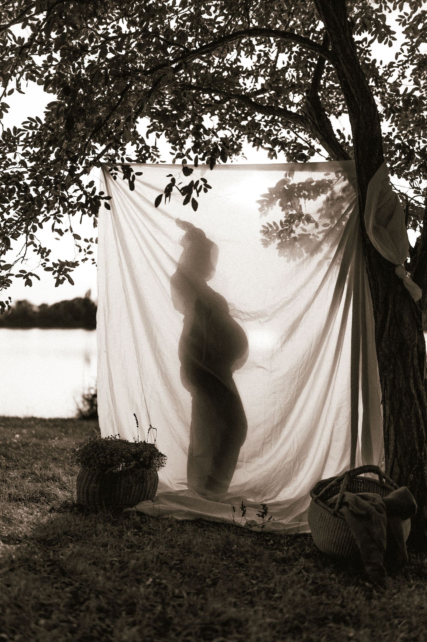 Sepia silhouette of a pregnant woman behind a white sheet hanging between trees near a lake.