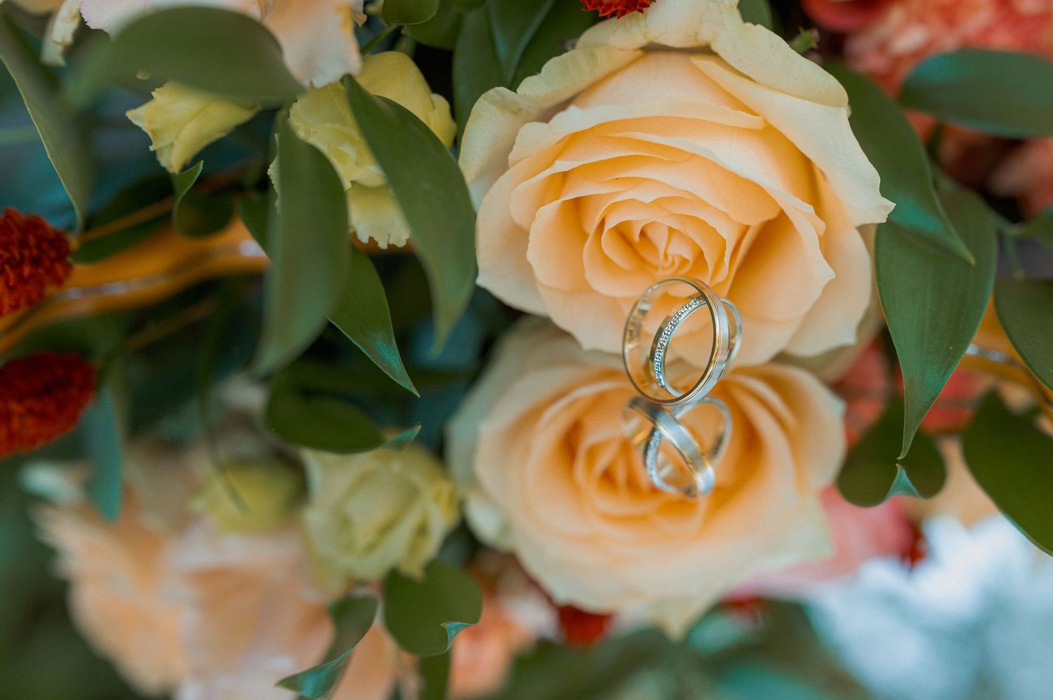 Two silver wedding rings nestled in a peach rose bouquet with lush greenery and red floral accents.