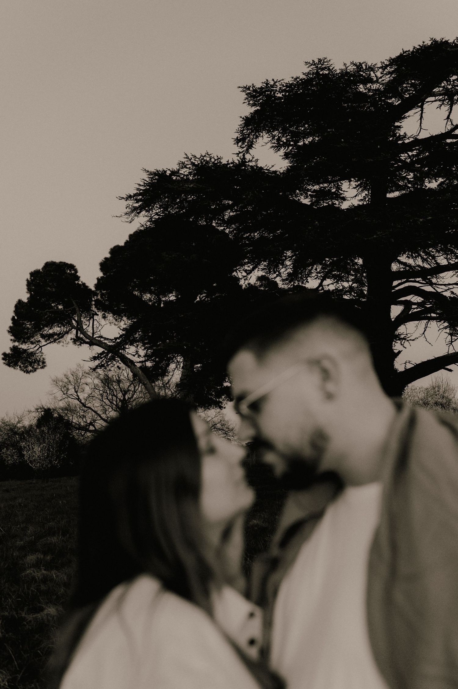 Black and white artistic photo of couple almost kissing with tree silhouette behind.