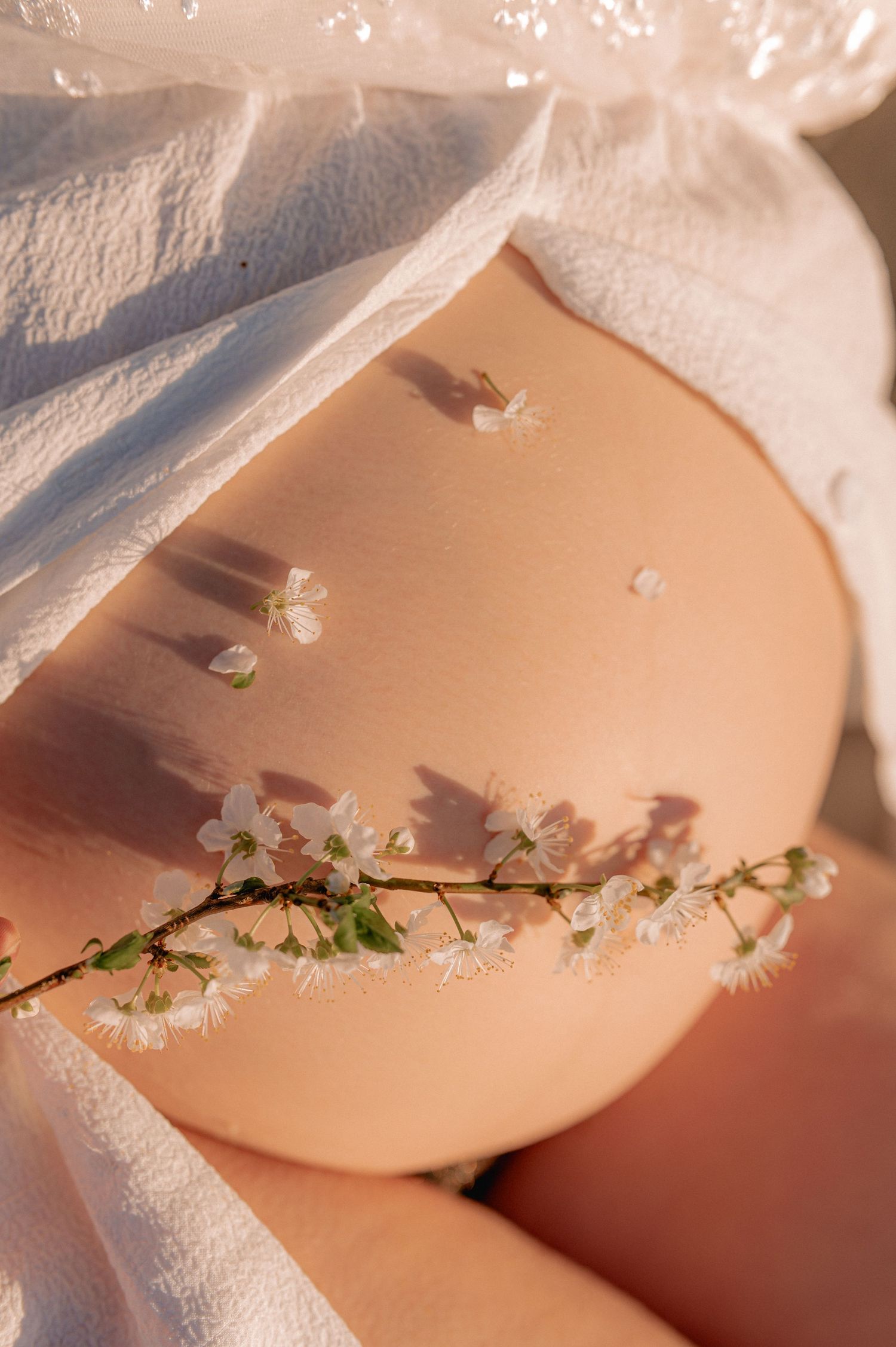 Close-up of a pregnant belly adorned with delicate white spring blossoms on a branch in soft natural light.