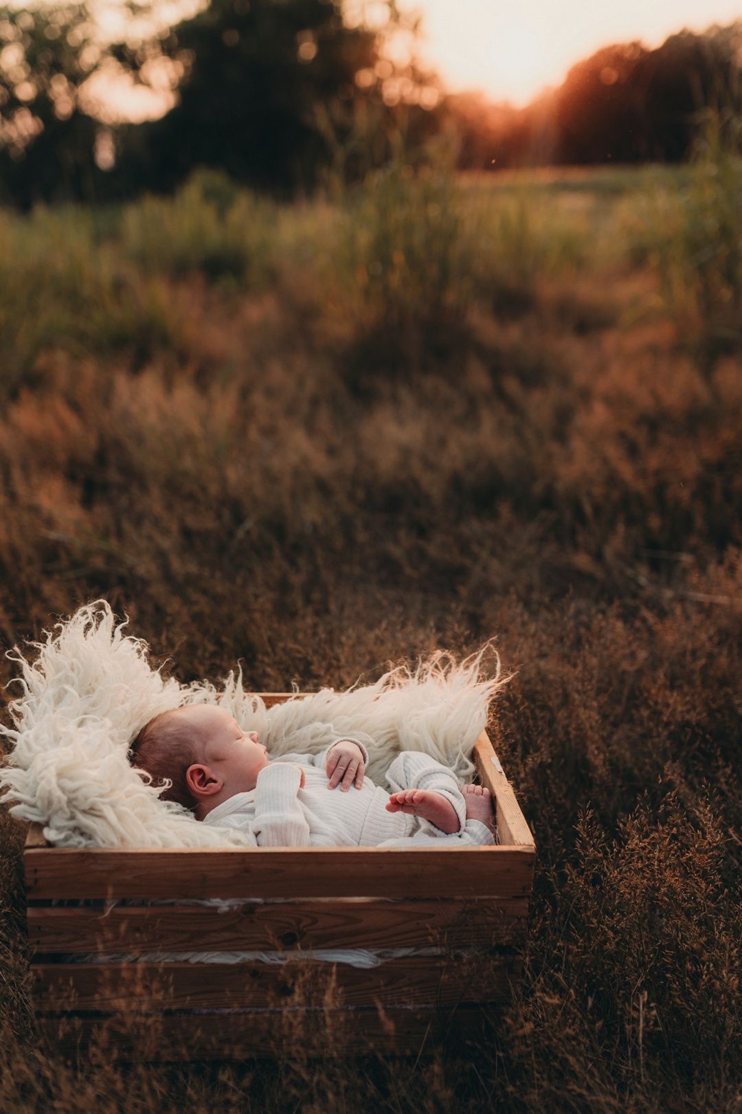 A newborn baby sleeps peacefully in a wooden crate on a field at sunset.