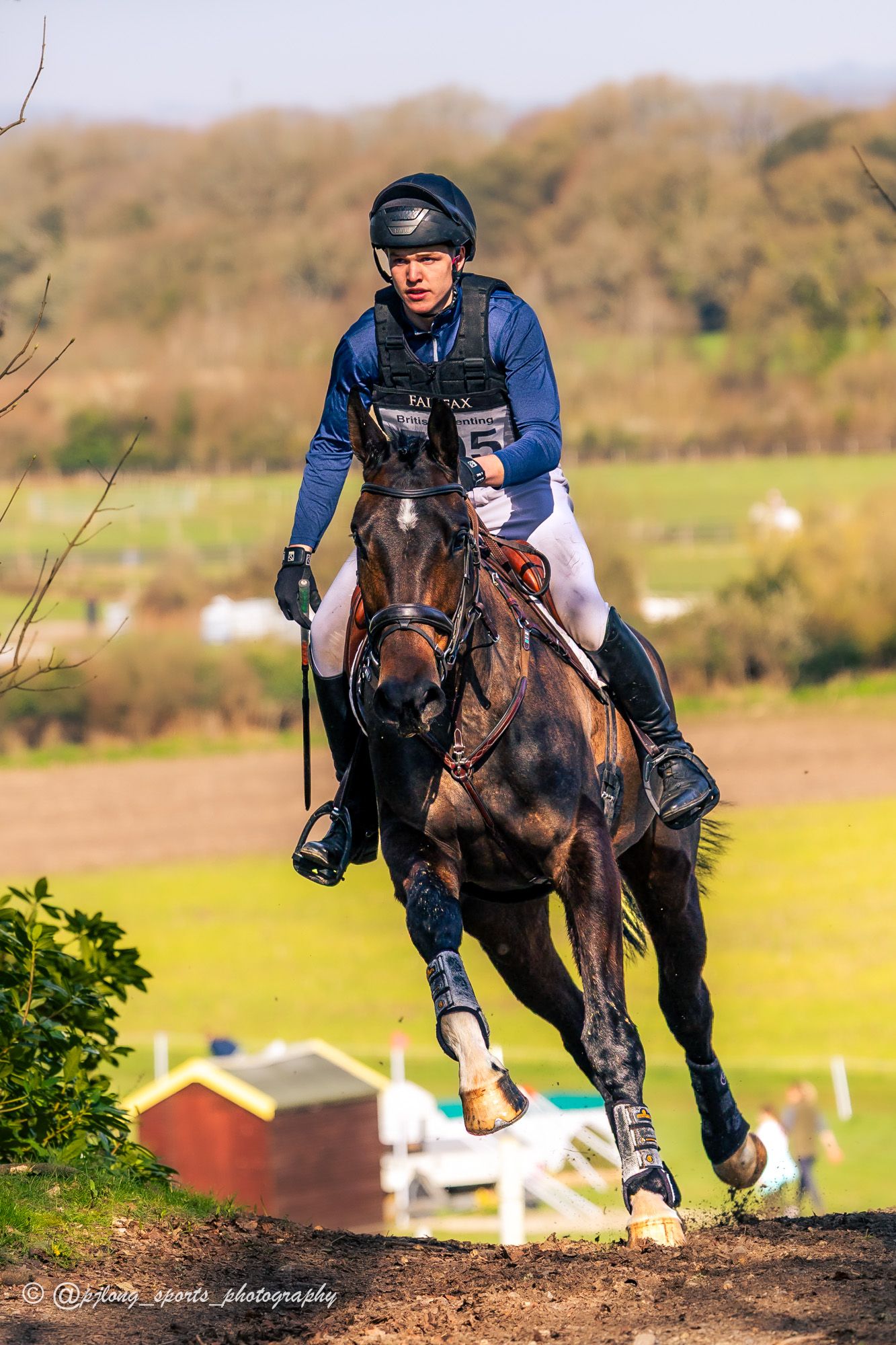 Equestrian rider in blue jacket on dark horse jumping over cross-country fence obstacle in Dorset.