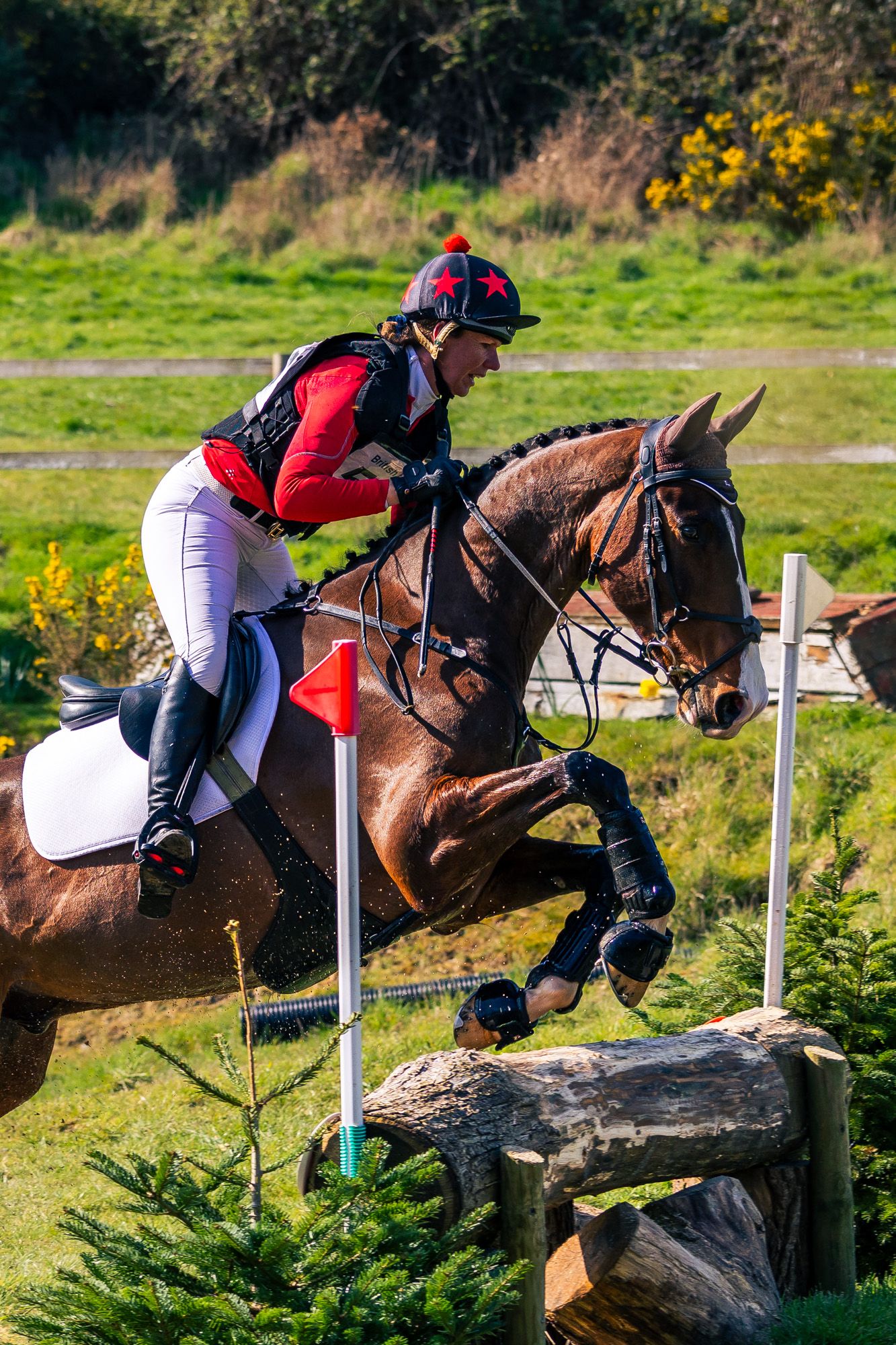 Equestrian rider in red jacket jumping a brown horse over a log obstacle during a cross-country eventing competition in Dorset.