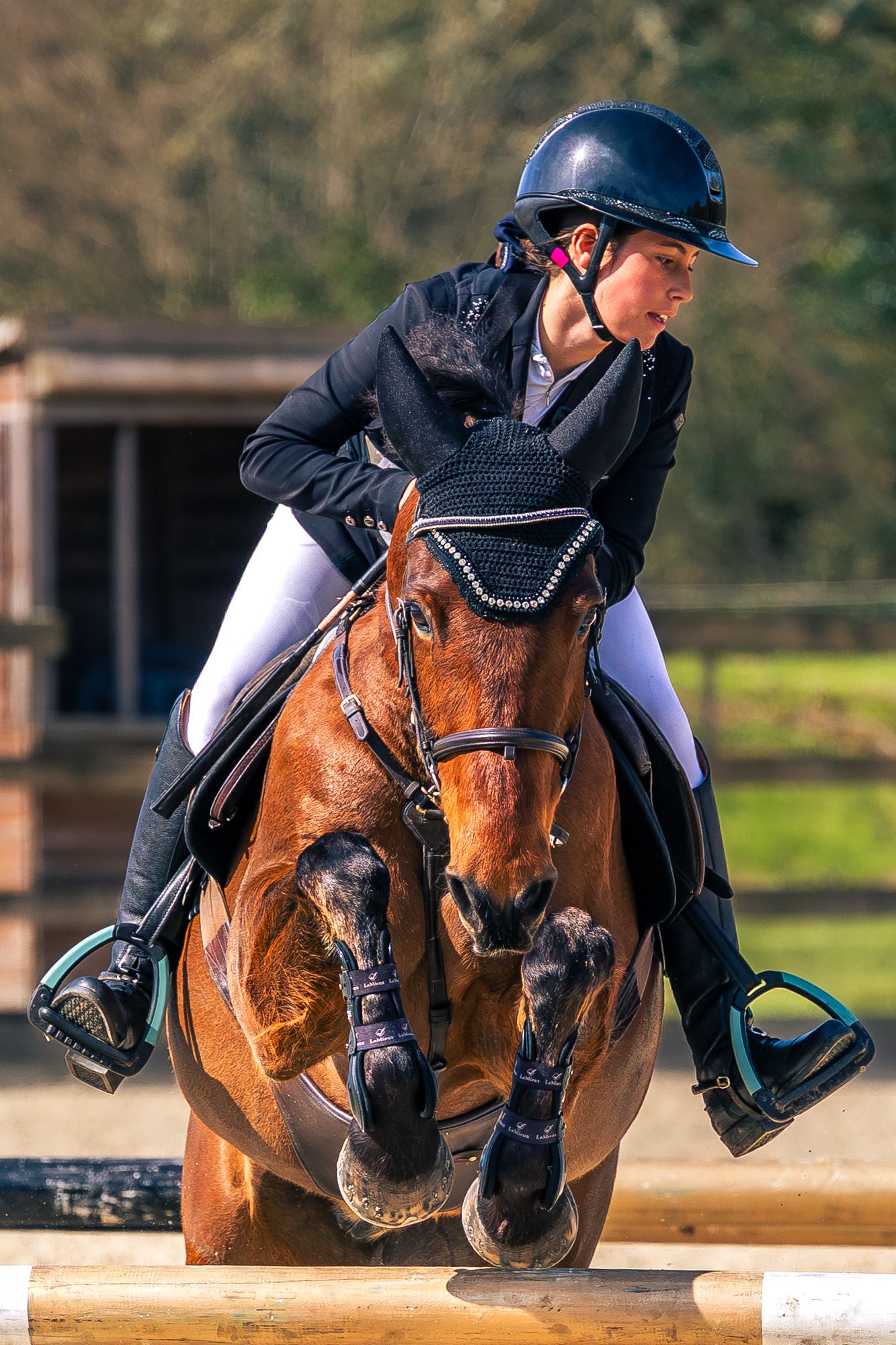 Female equestrian in black jacket and helmet jumping a bay horse over a fence in an outdoor show jumping arena in Dorset.