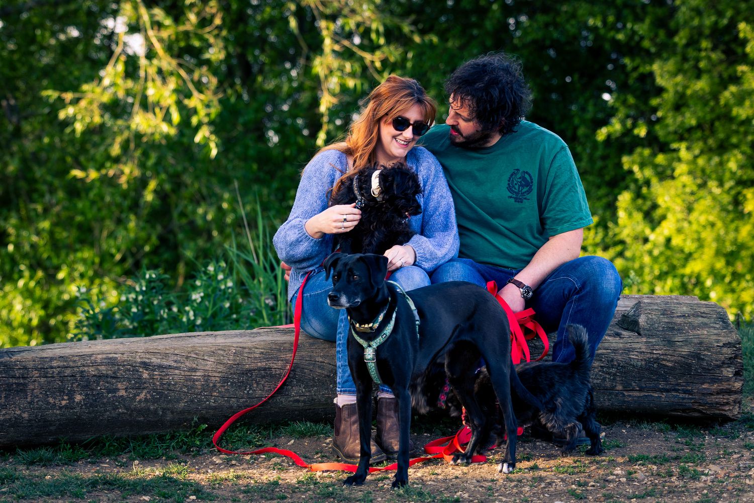Couple sitting on a log in a park petting two black dogs on red leashes surrounded by green trees.