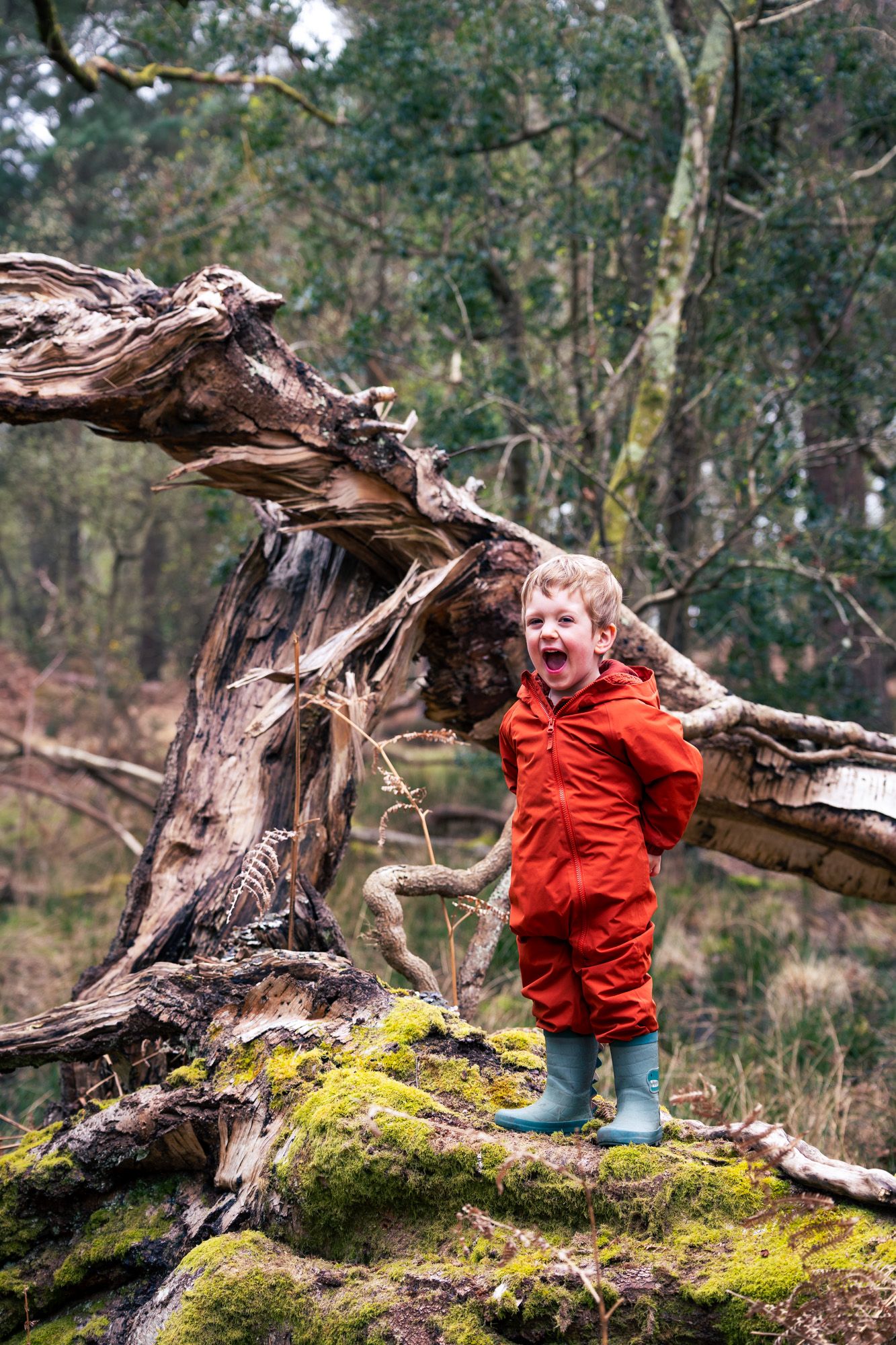 Young boy in red jumpsuit and green boots laughing beside a mossy fallen tree in a Dorset forest.
