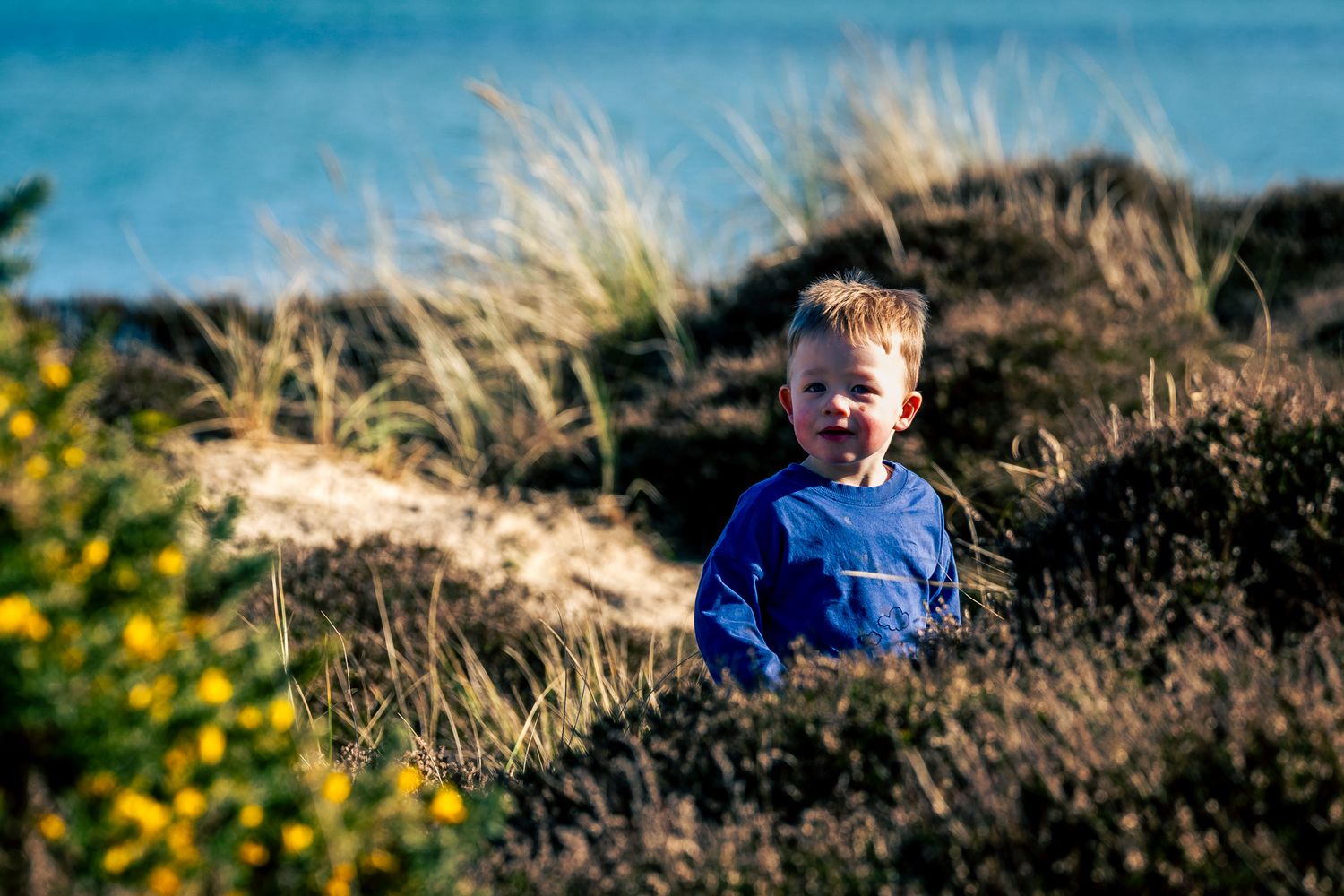 A cheerful red-haired boy in a blue shirt plays among coastal dunes in Dorset with yellow wildflowers and ocean in the background.