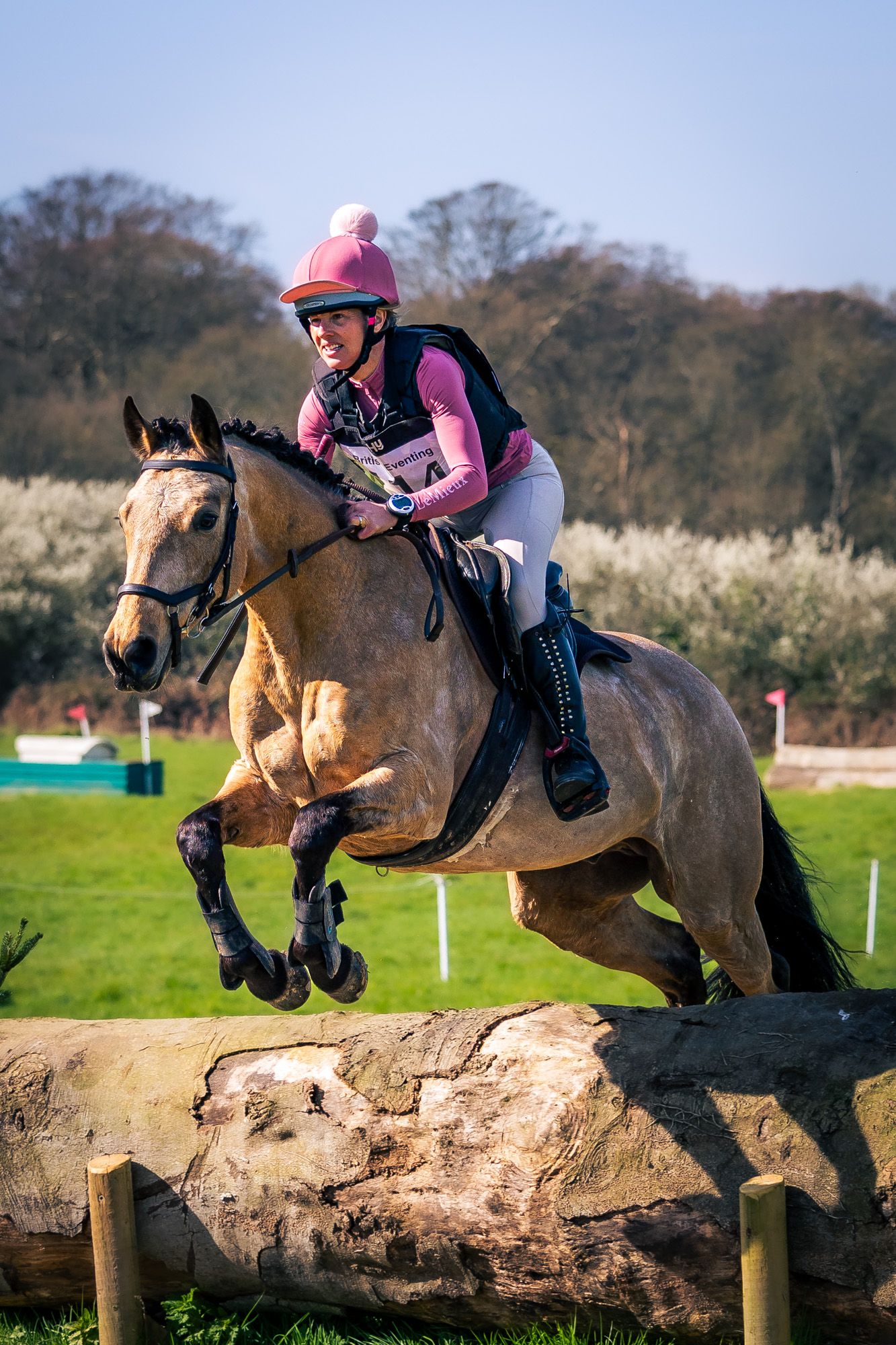 Female equestrian in pink helmet jumping a cross-country fence on a buckskin horse at an outdoor competition.