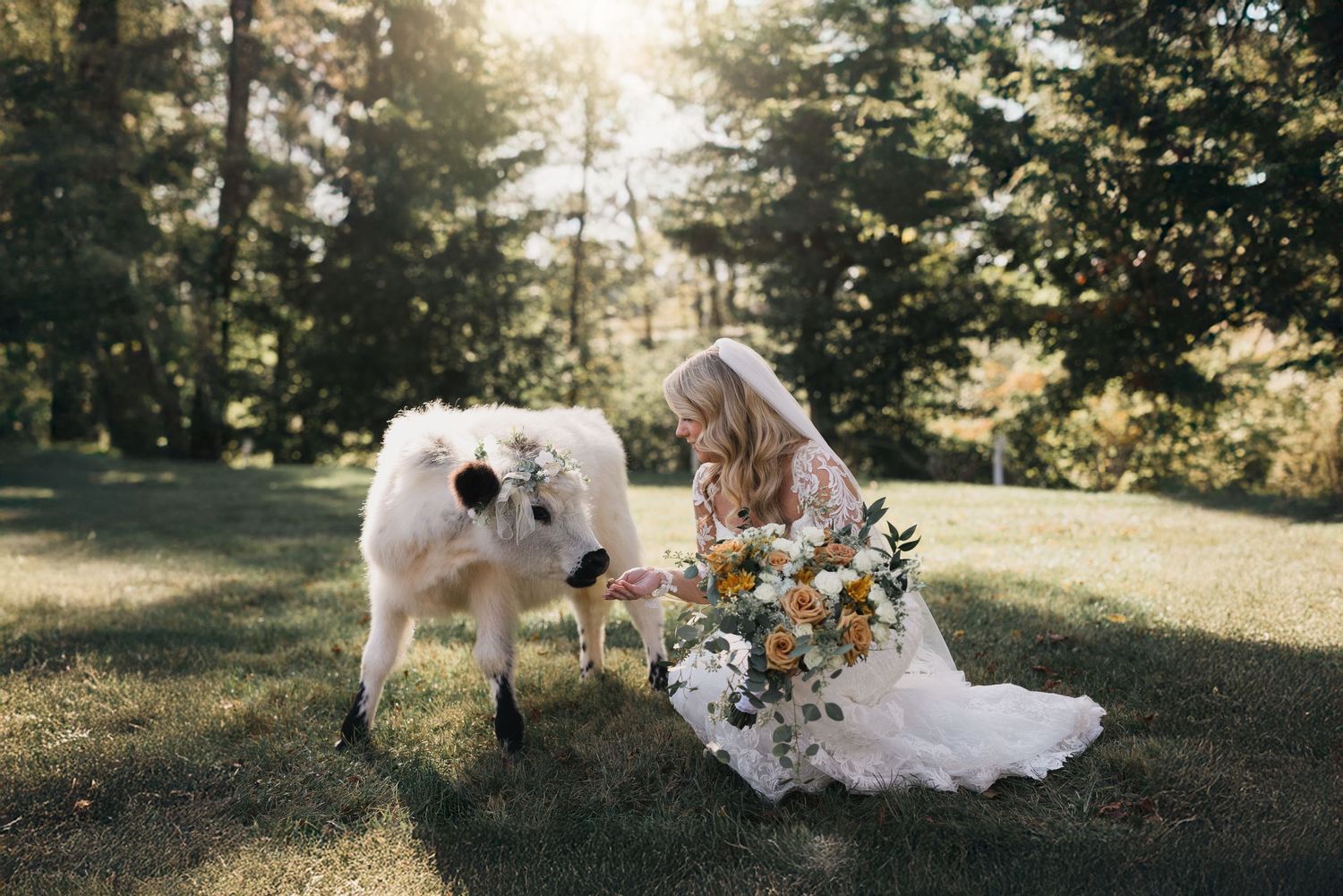 Person in wedding dress kneeling beside white dog in sunny outdoor setting with flowers.