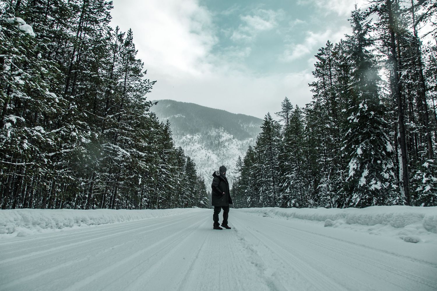 Snow covered mountain landscape with evergreen trees and a lone figure in the distance.