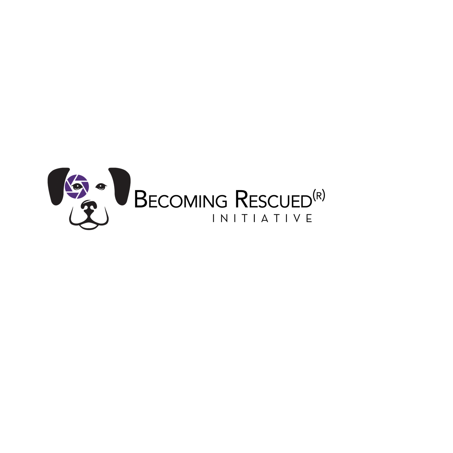 becoming recsued initiative logo