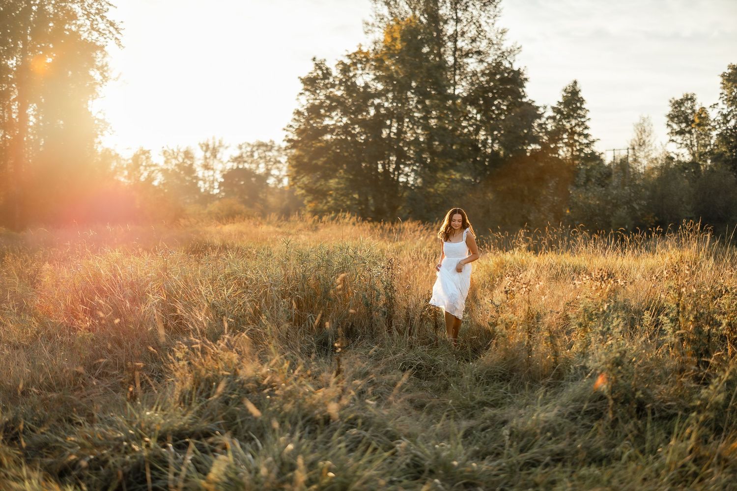 A golden sunset illuminates a grassy meadow with evergreen trees in the background during a warm summer evening.