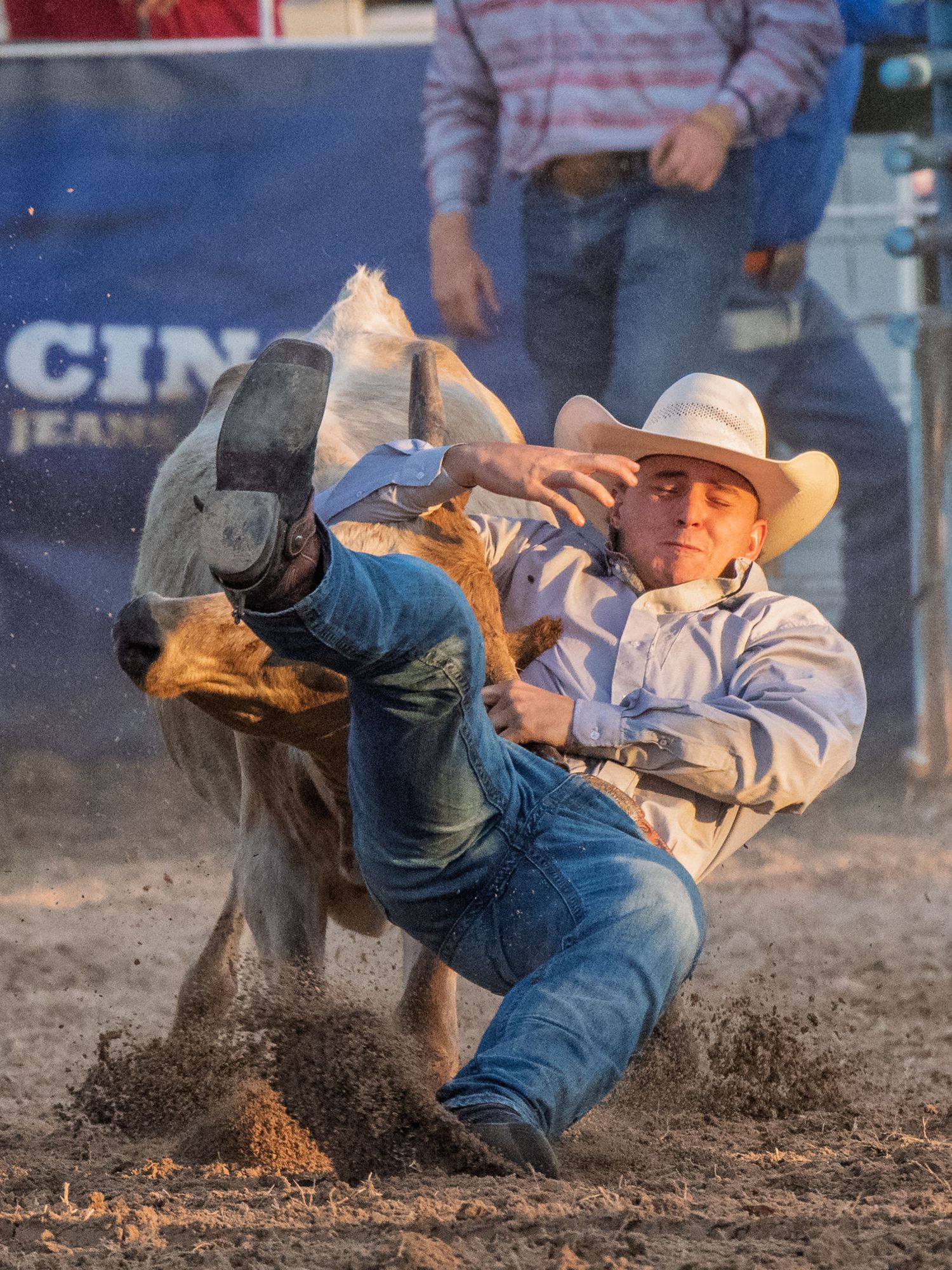 Cowboy in white hat wrestling steer to the ground in dusty rodeo arena at golden hour.