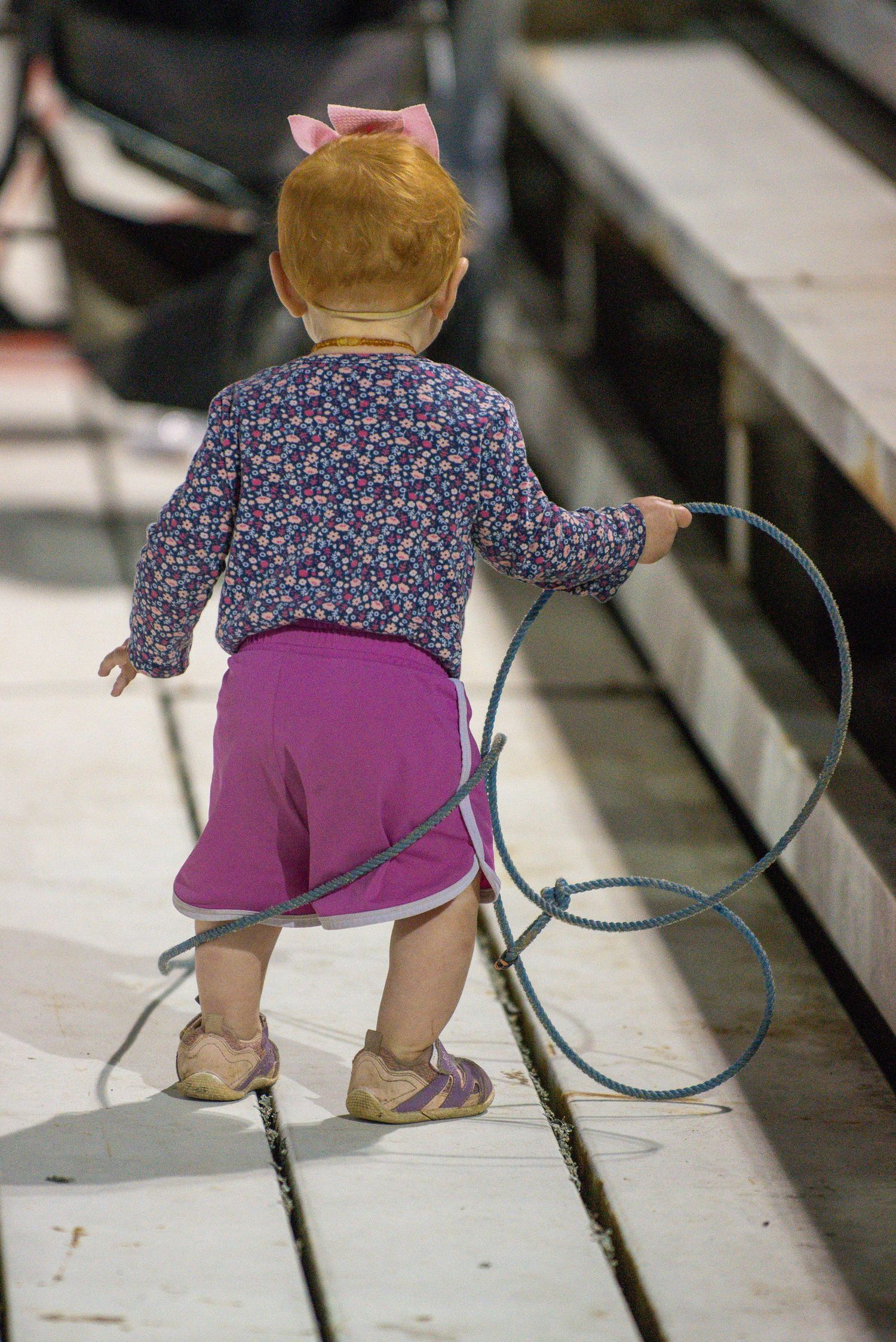 Toddler girl with pink bow holding a blue lasso rope standing on wooden bleachers.