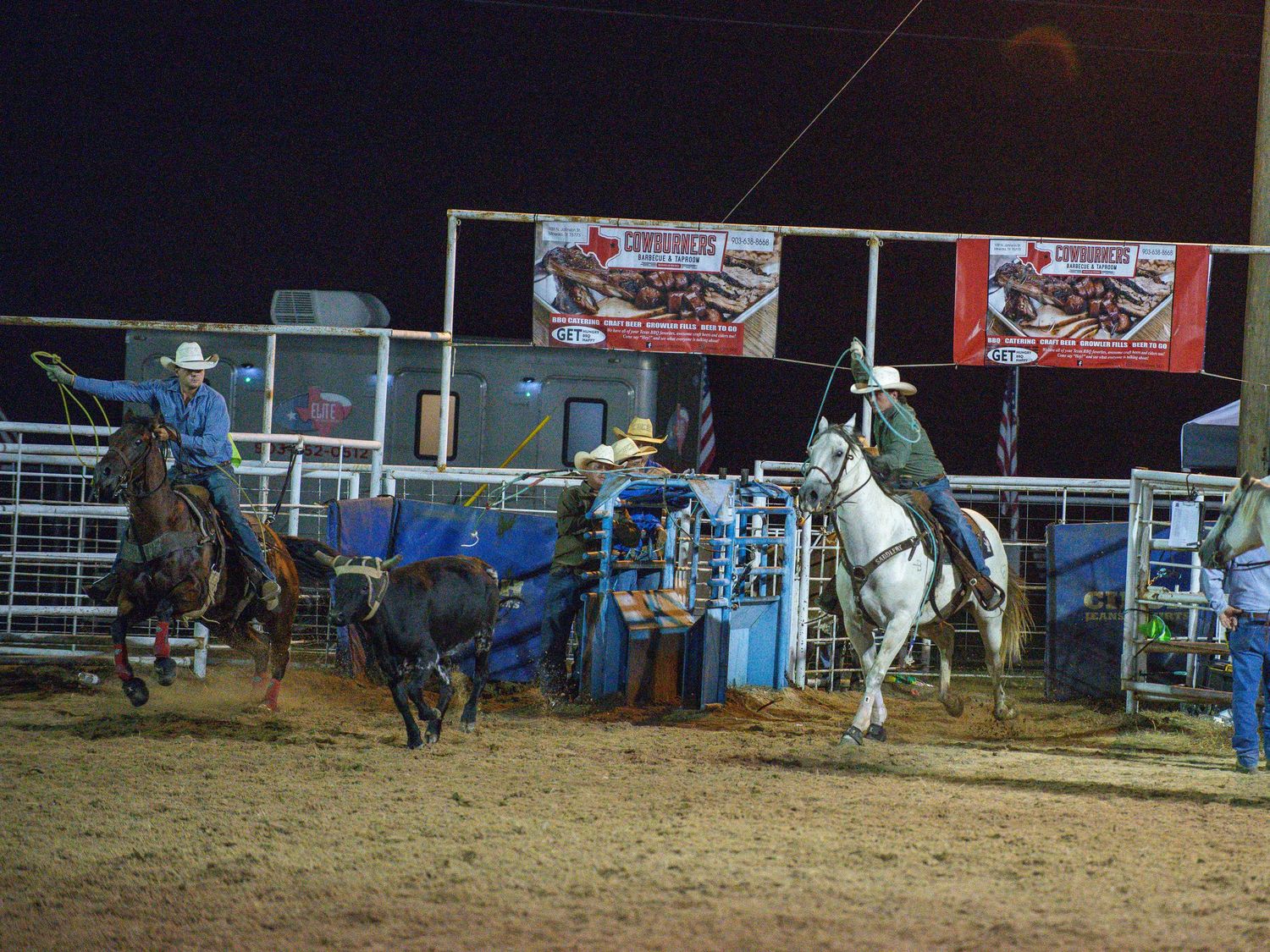 Two cowboys on horseback roping a steer together during a team roping rodeo event.