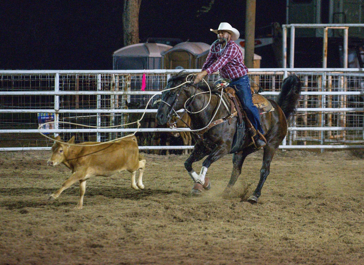 Rodeo competitor on horseback swinging a lasso while chasing a calf during a nighttime roping event.