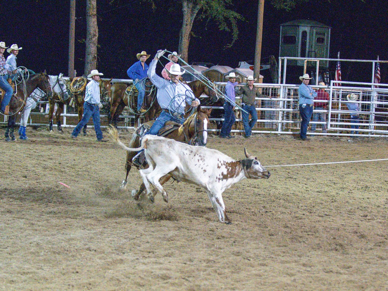 Cowboy on horseback throwing a lasso to rope a spotted steer at a night rodeo.