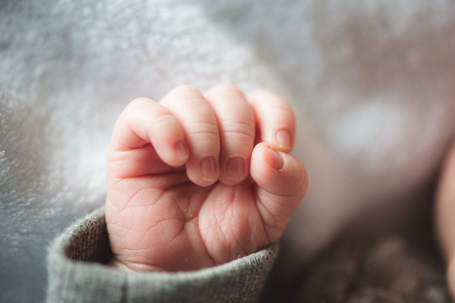 Close-up macro photo of a tiny newborn baby fist clenched in a gray knit sleeve.