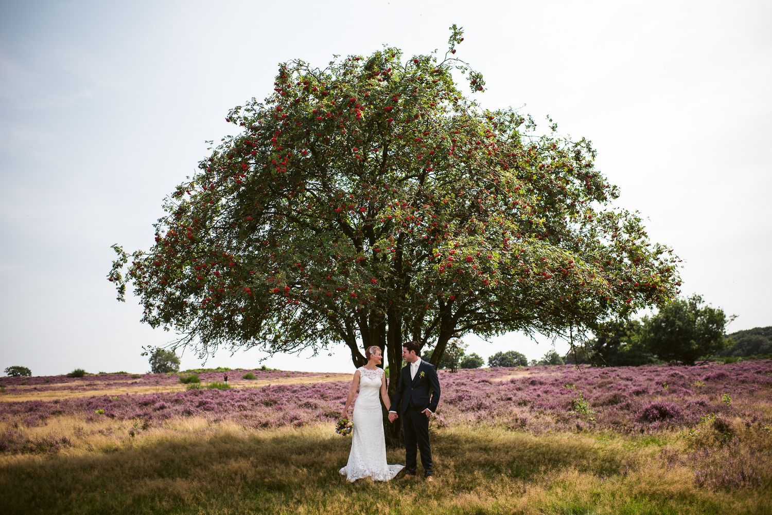 Wedding couple stands romantically beneath large apple tree in stunning purple heather field.Door Kim van de Broek Fotografie