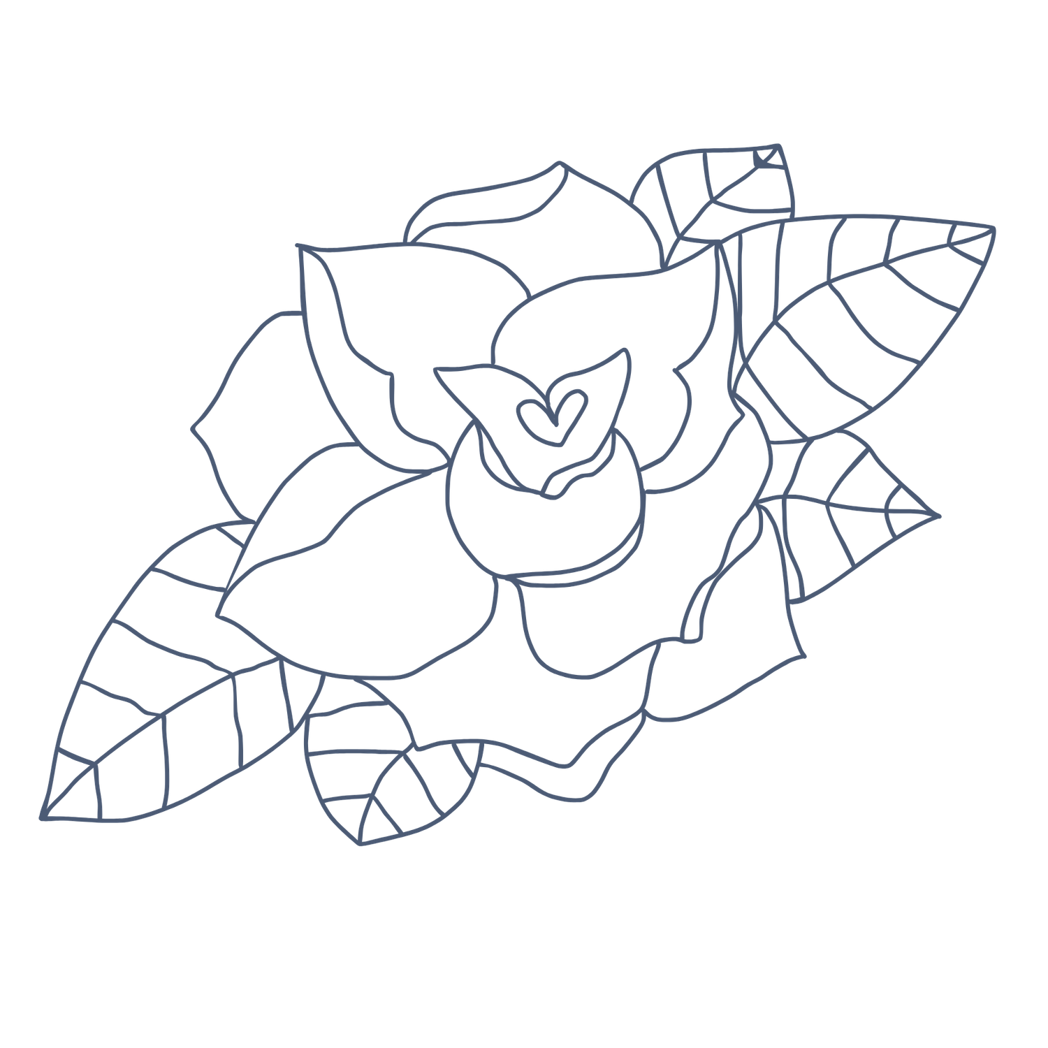 A rose hand-drawn by the wedding photographer for use as a logo for Jessica Bailey Tyler who photographs weddings and more in Upstate NY.
