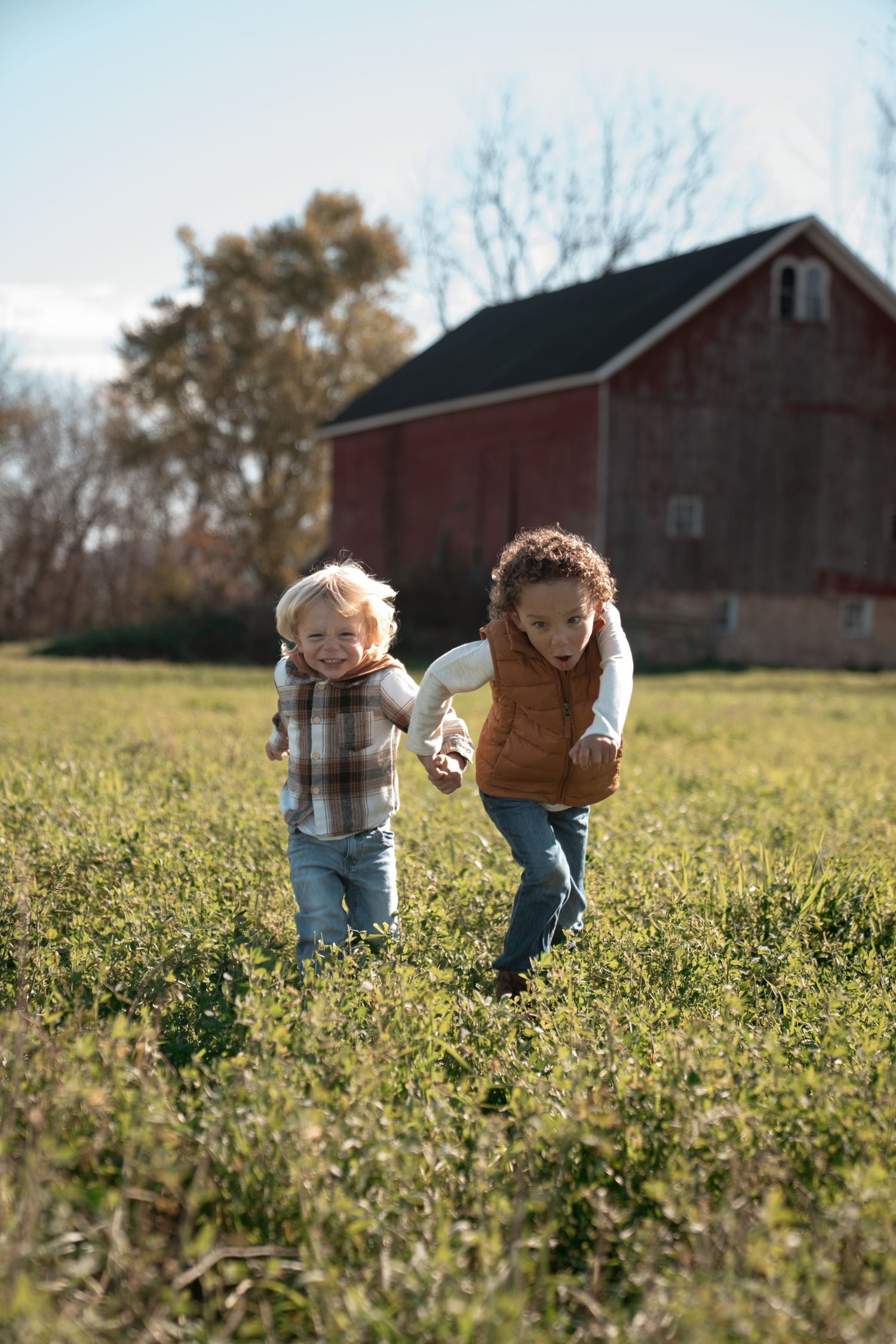 A couple walks through a sunlit field with red barns in the background.
