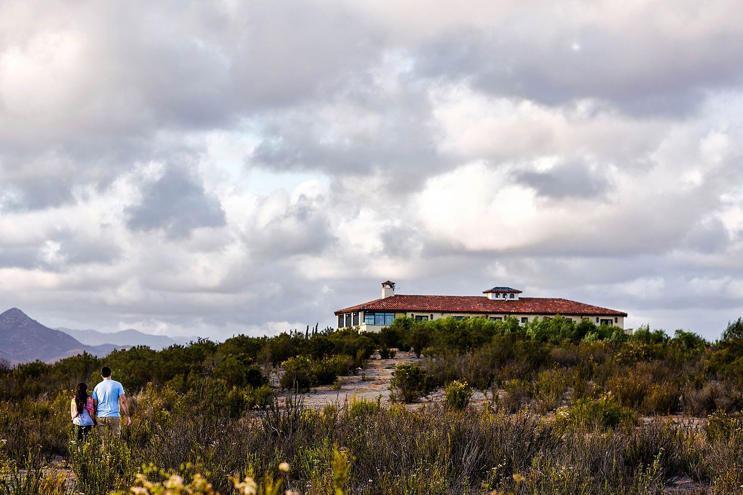 Los 15 mejores lugares para tu boda en Valle de Guadalupe