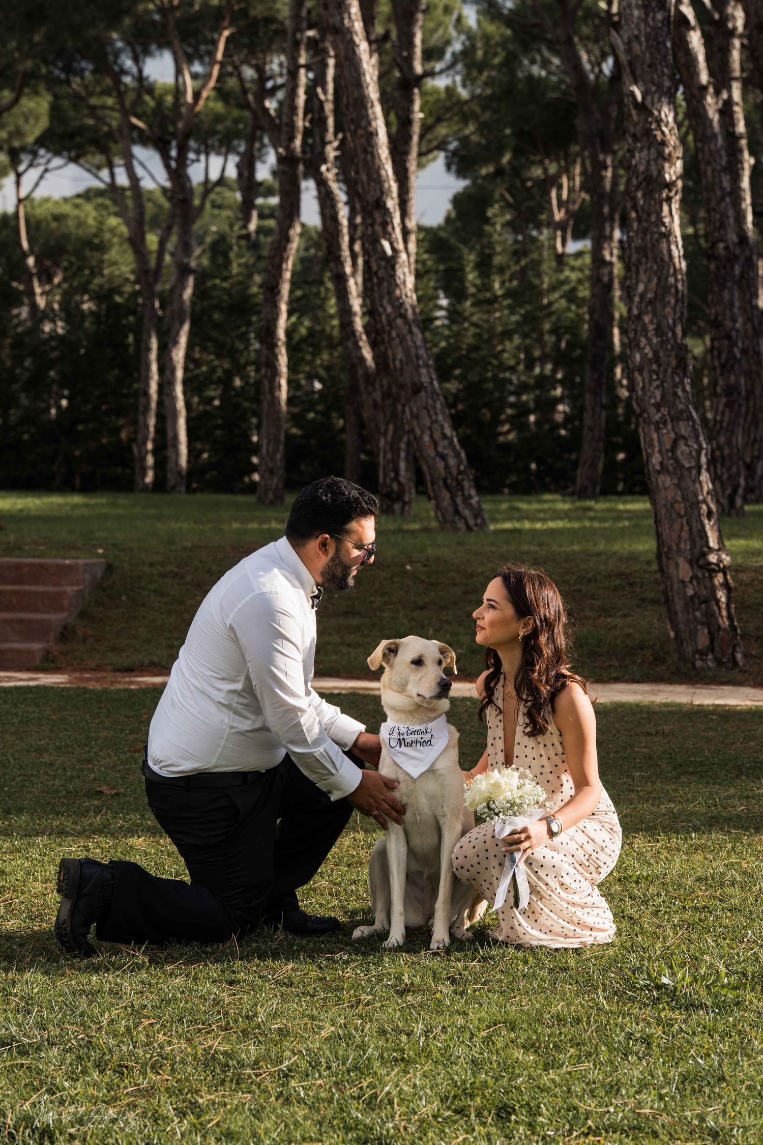 Lebanese couple shooting their pre-wedding photoshoot with their beautiful dog in the outstanding garden of at Riachi Winery and Distillery