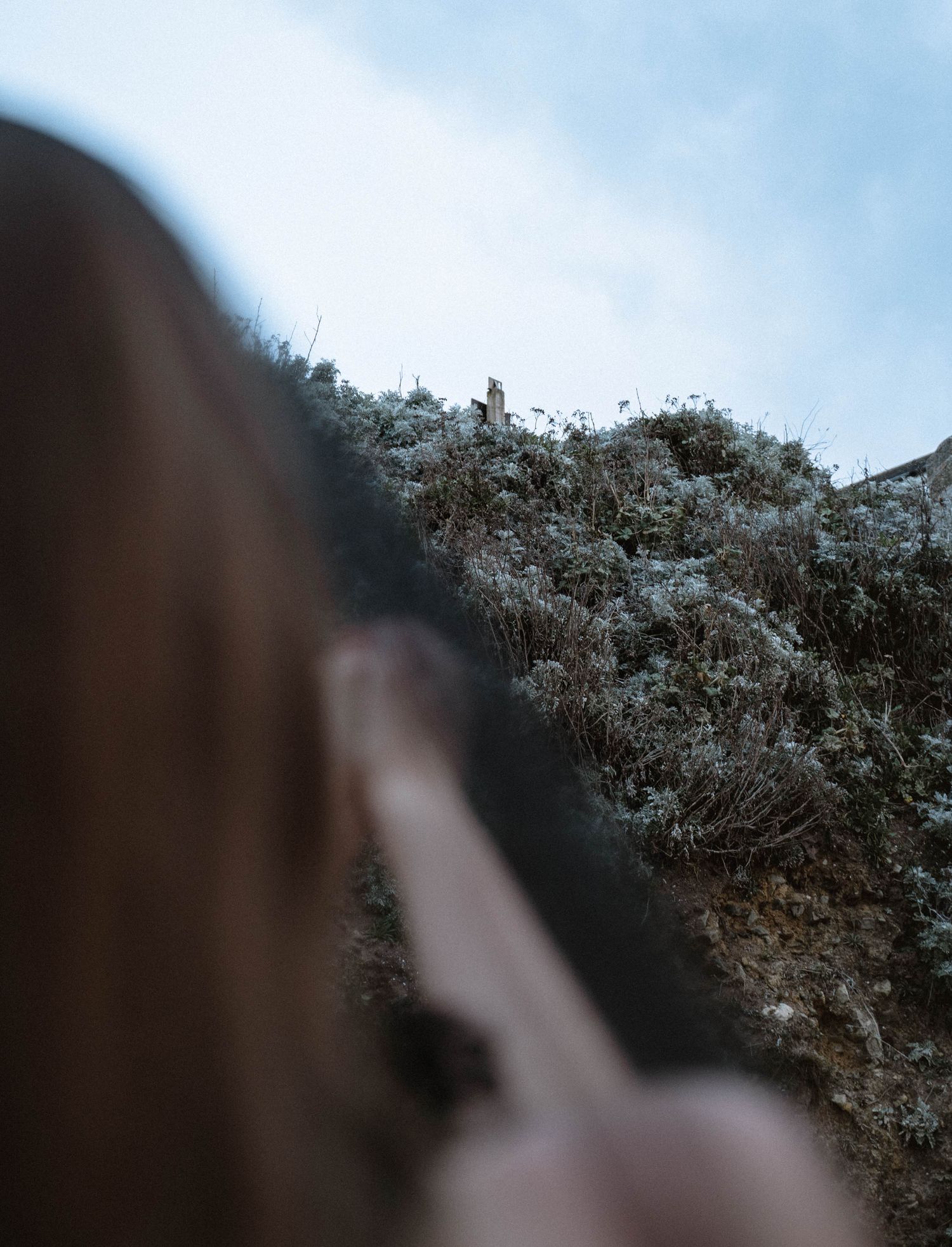 Blurred foreground framing cliffside terrain during a Gothic St Ives Cornwall elopement with textured coastal vegetation