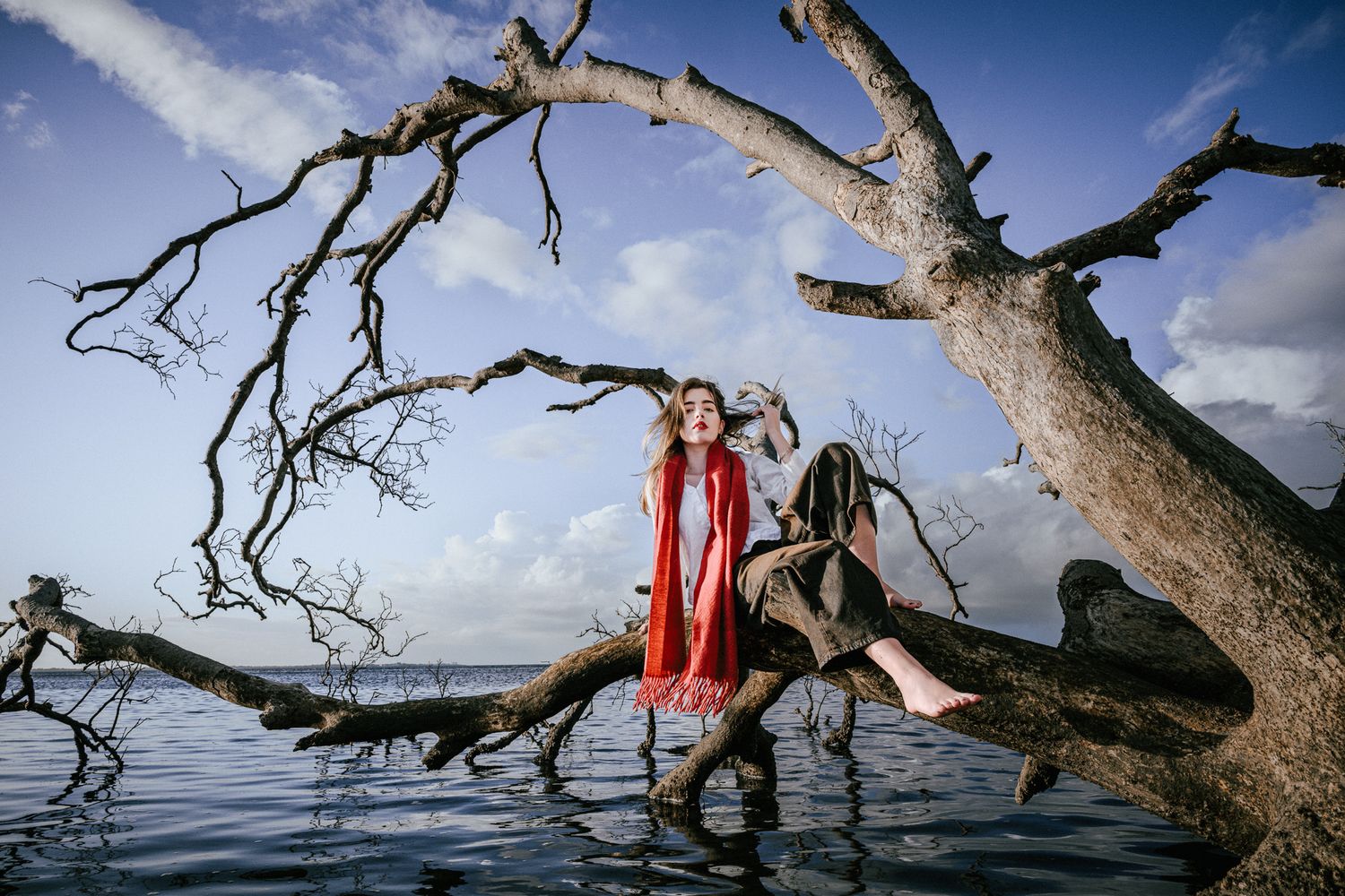 Woman in red dress sitting on dead tree branches over water under dramatic cloudy sky.