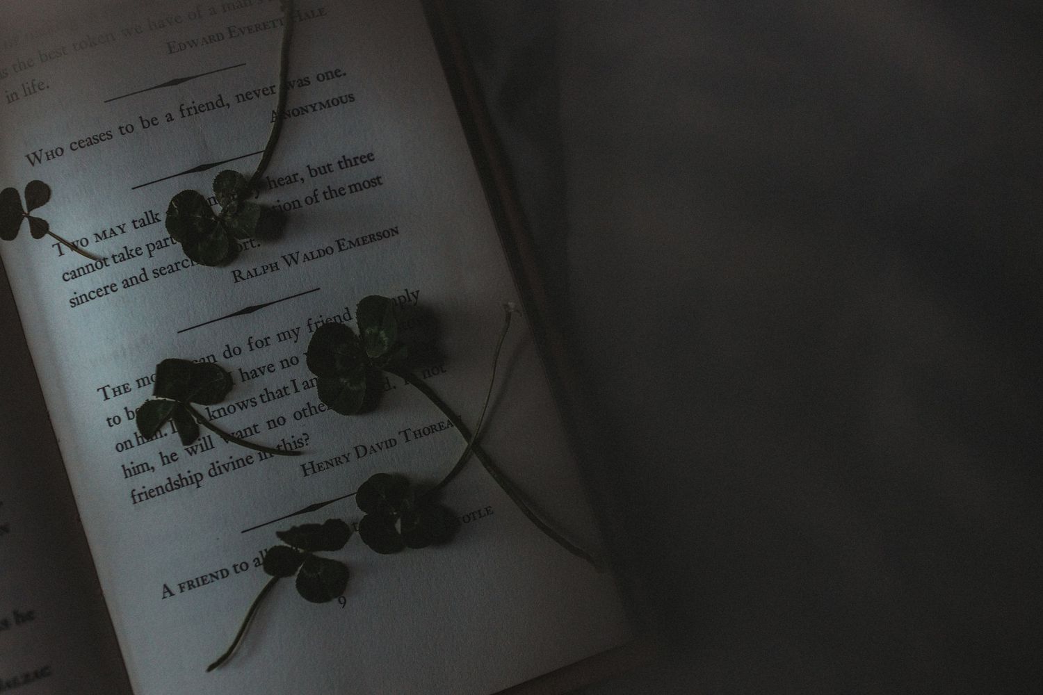 A four-leaf clover rests on an open book page with text about luck and fortune.