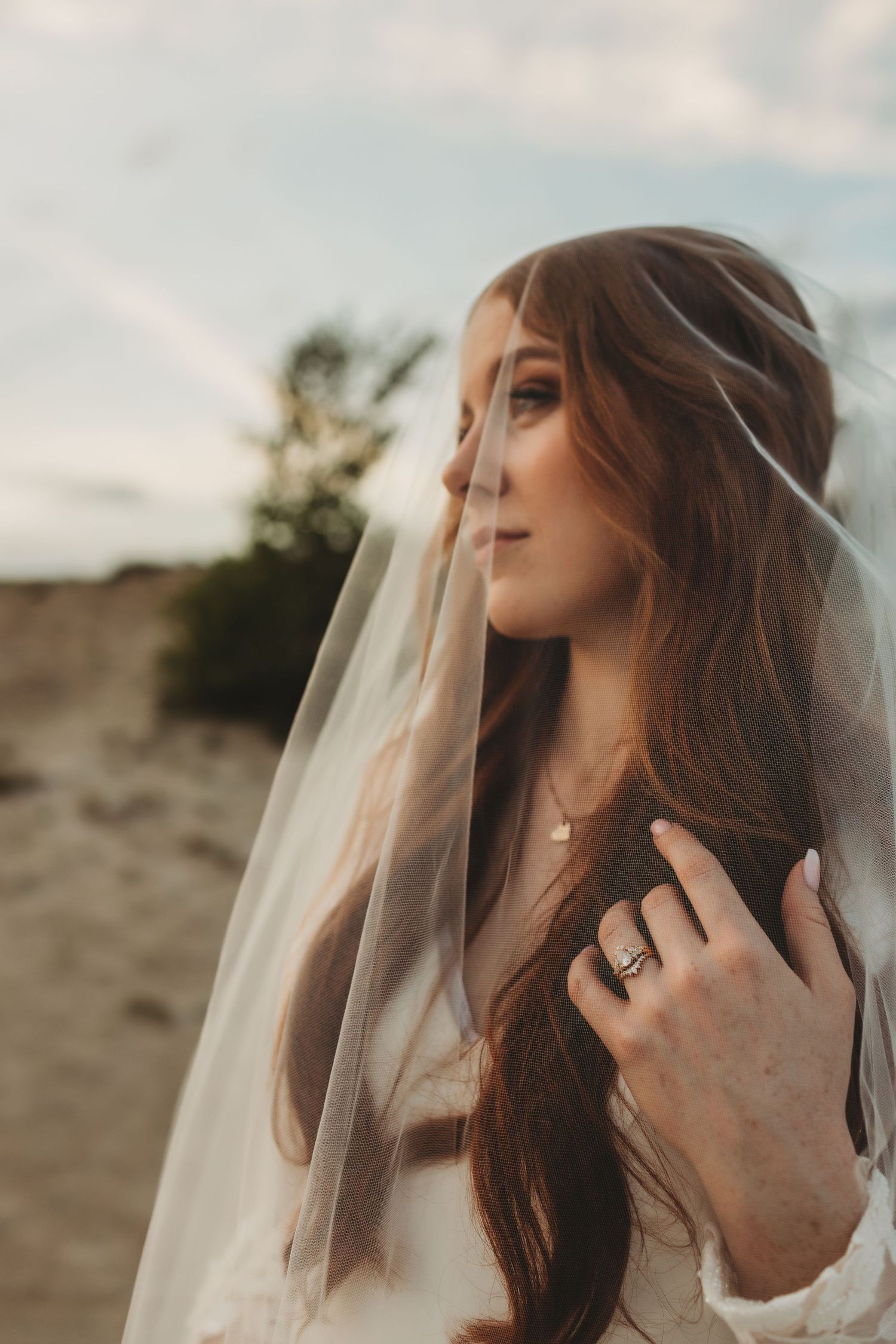A bride in a white veil poses in profile against a desert landscape during golden hour.