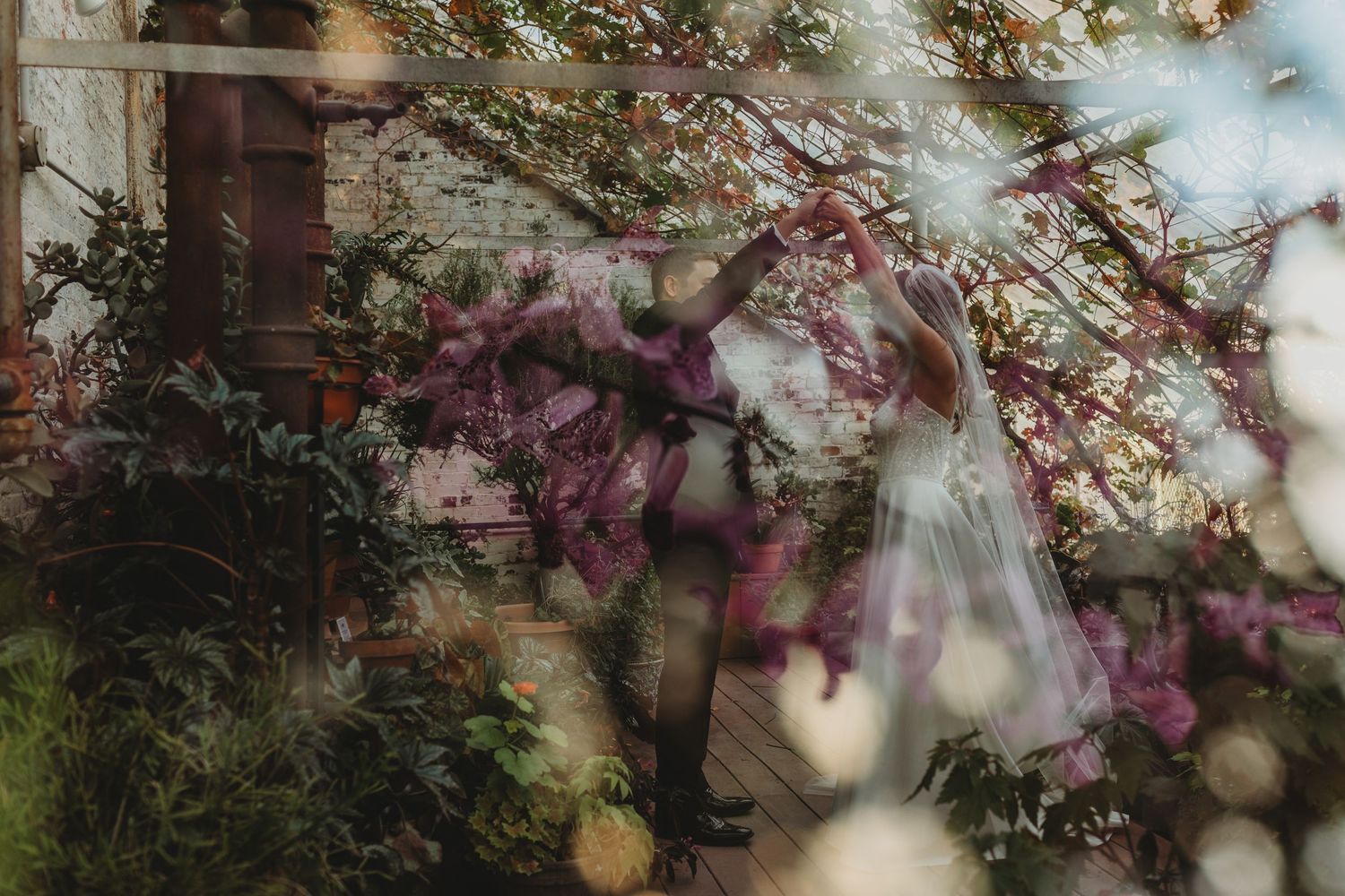 A blurry artistic photograph shows pink cherry blossoms against a soft-focused background with architectural elements.