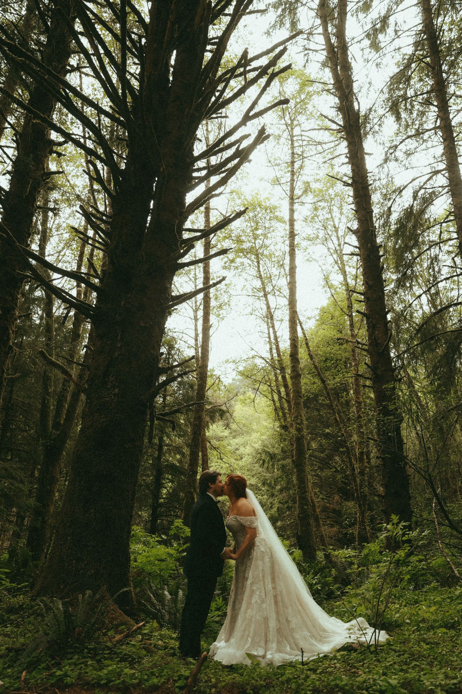 Twilight inspired elopement in the Oregon forest