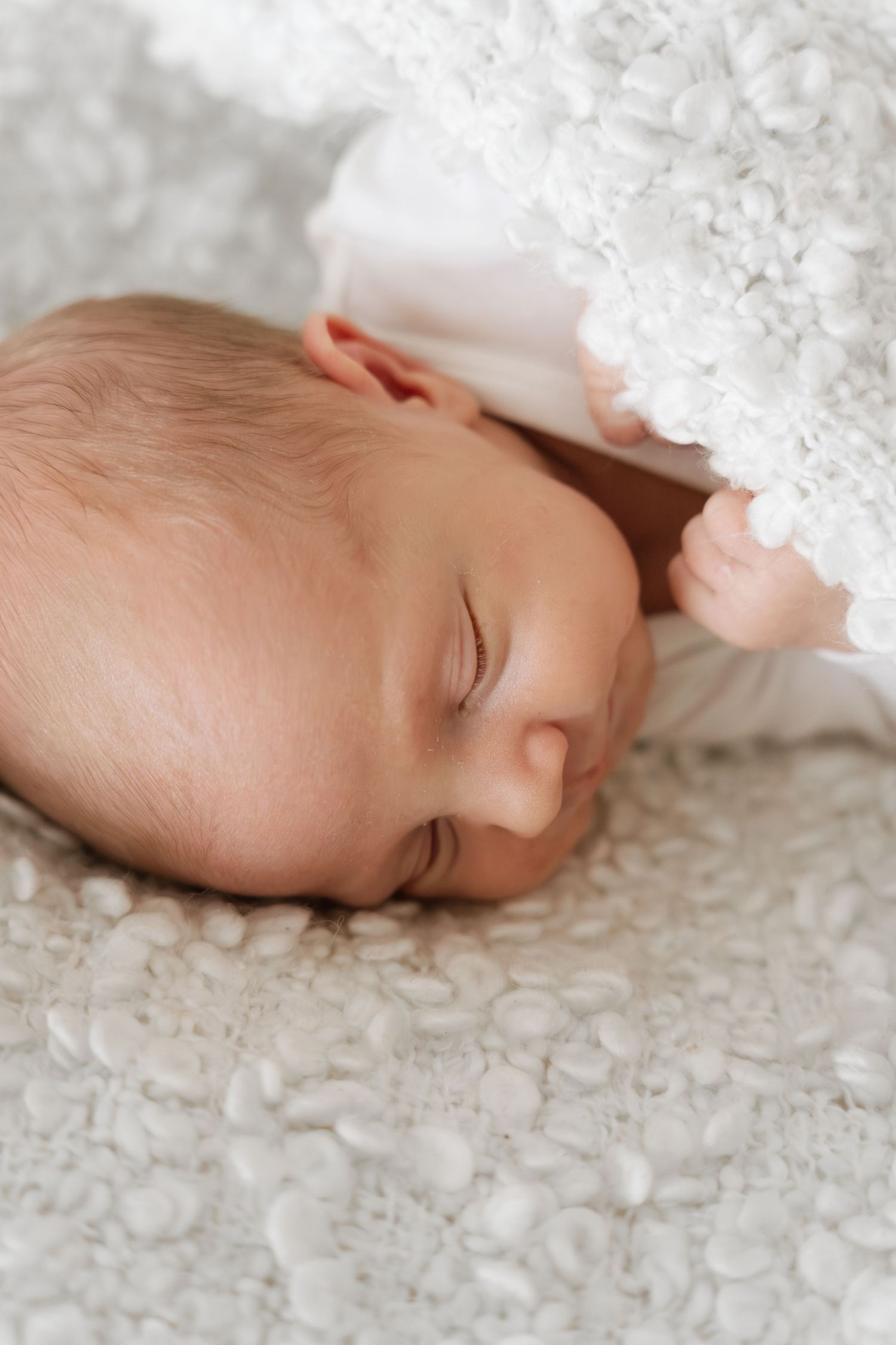 Newborn-kuvaus studiossa Oulussa – vastasyntynyt nukkuu viltin alla